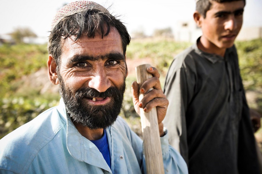 Training Afghan farmers in modern farming techniques