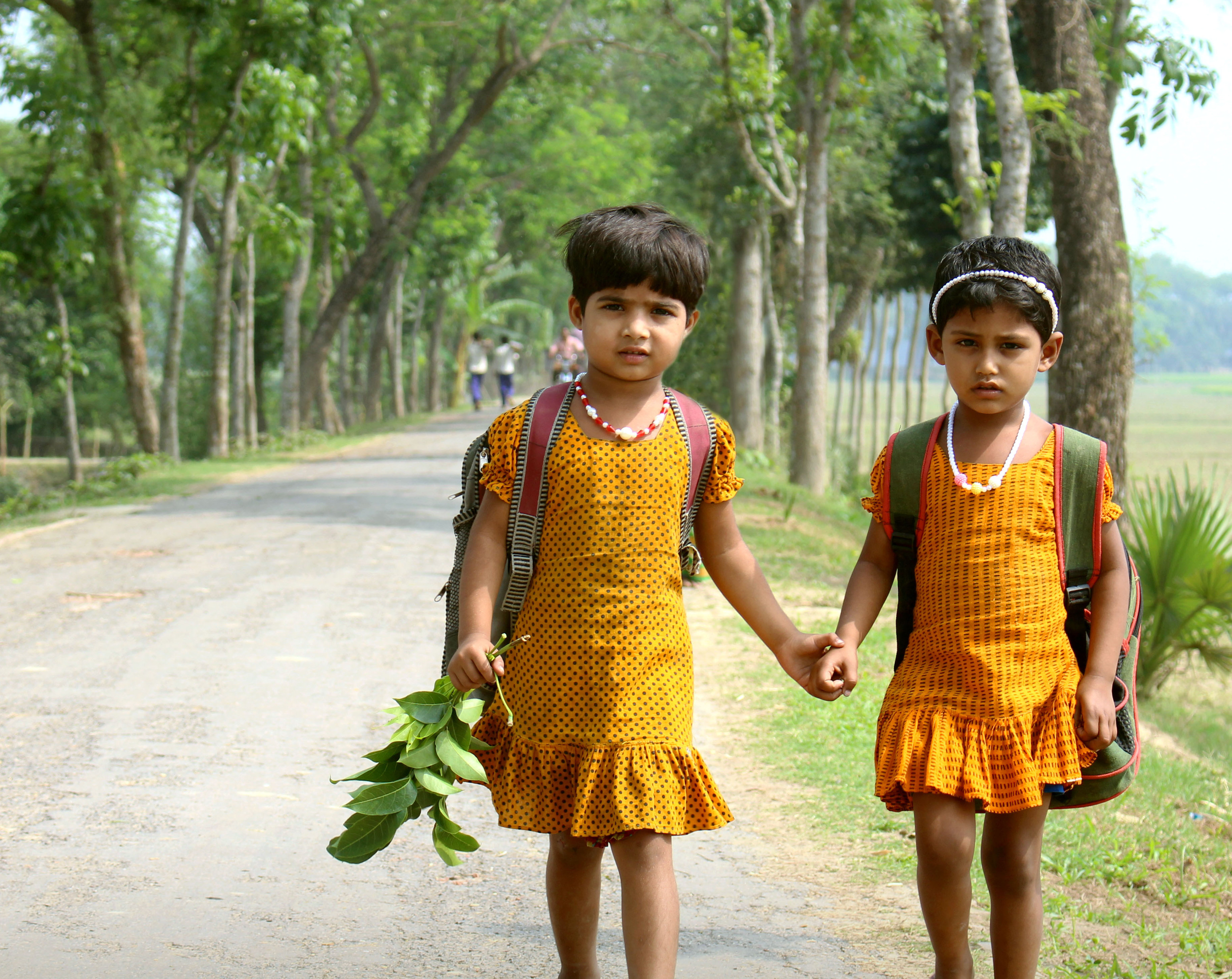 Sisters in Rural life