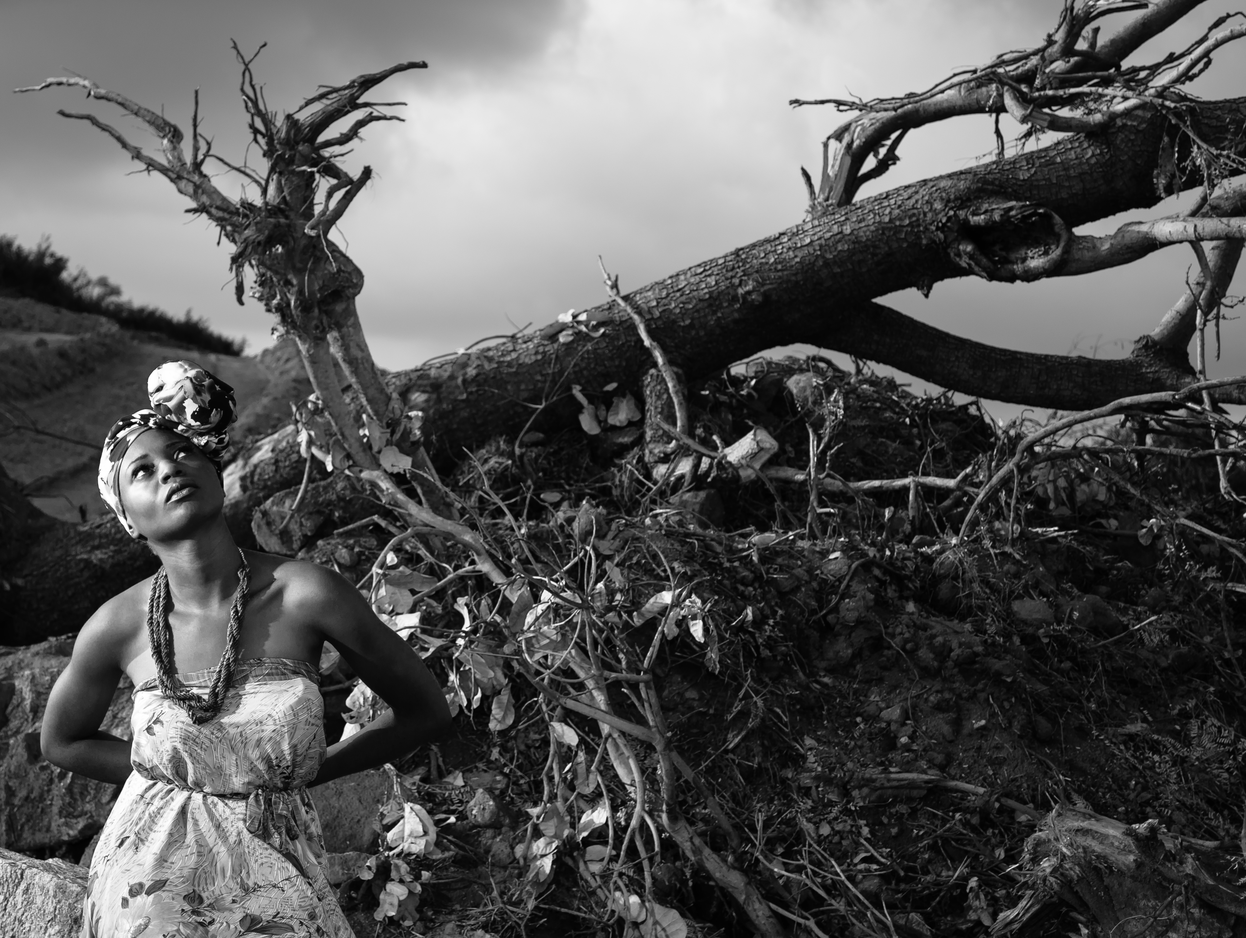 Dancing with wood 2