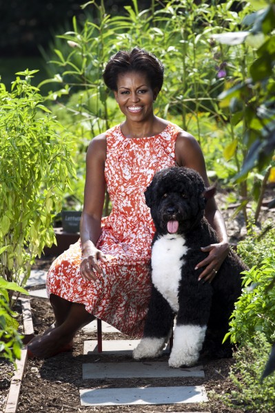 Michelle Obama with Bo official portrait