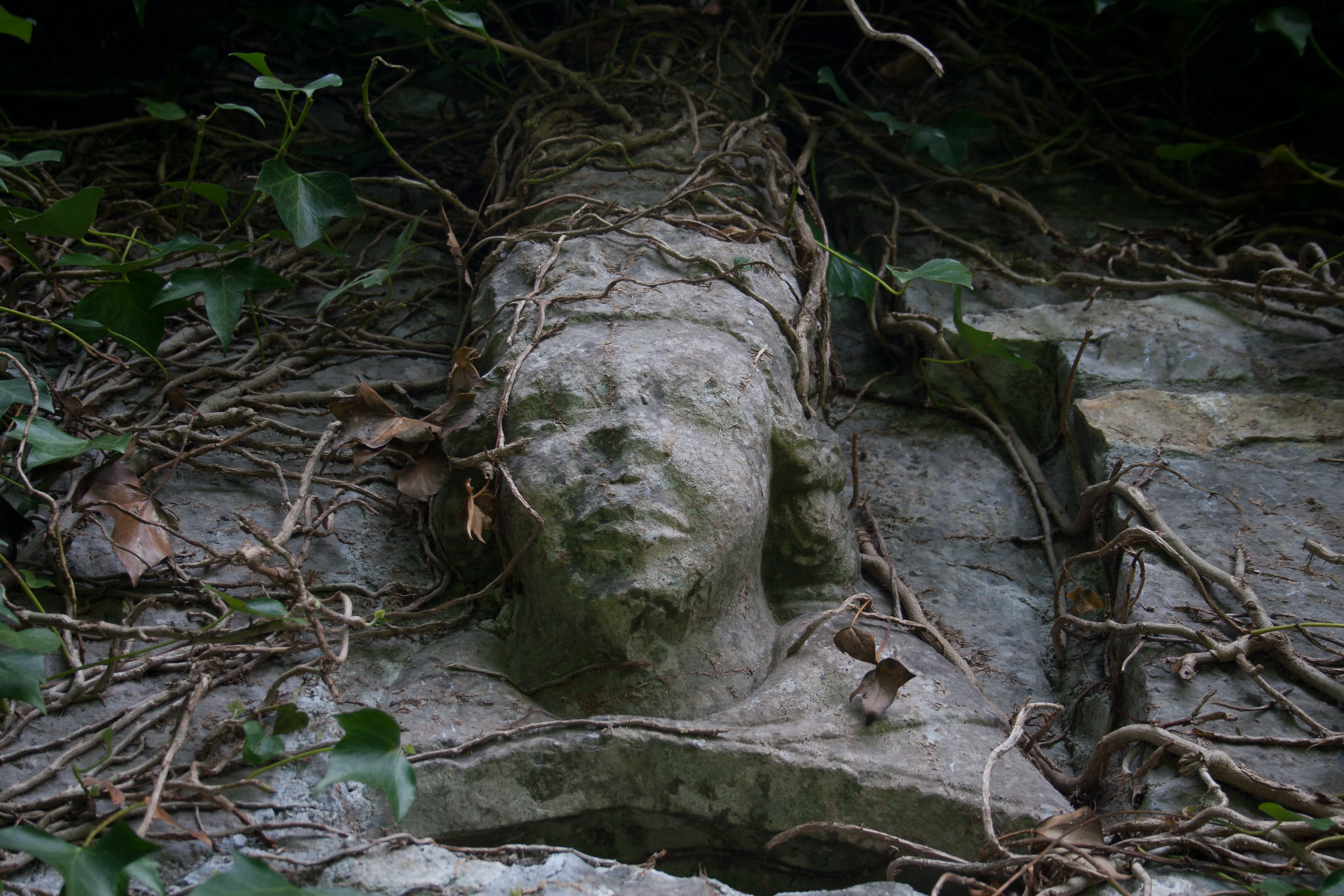 Ballymote Friary W Limestone Head 2010 09 23