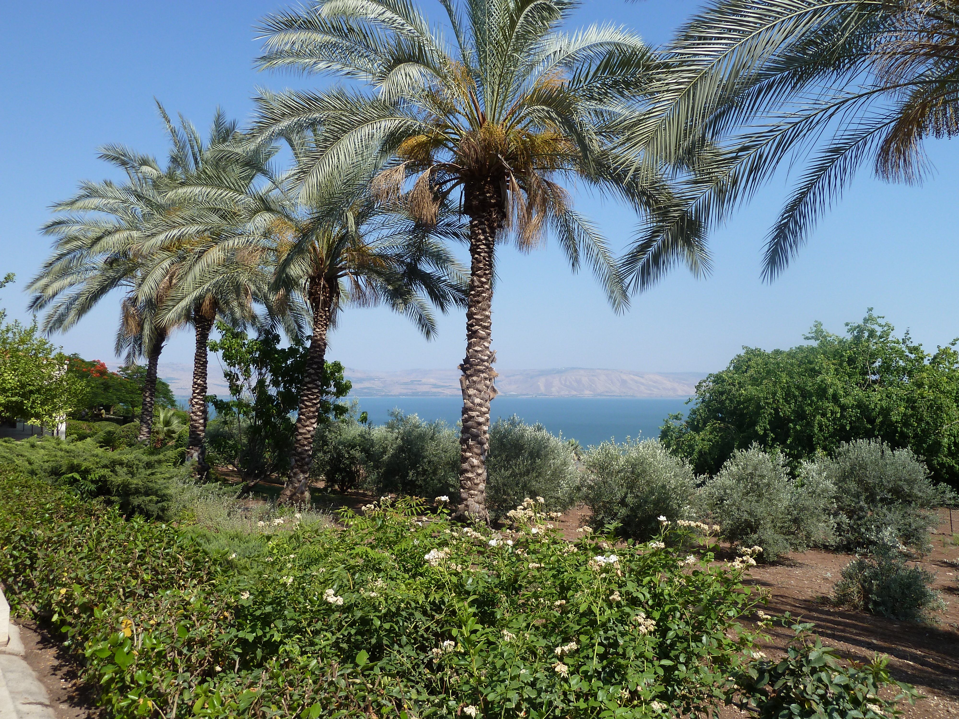 Beatitudes P1020636