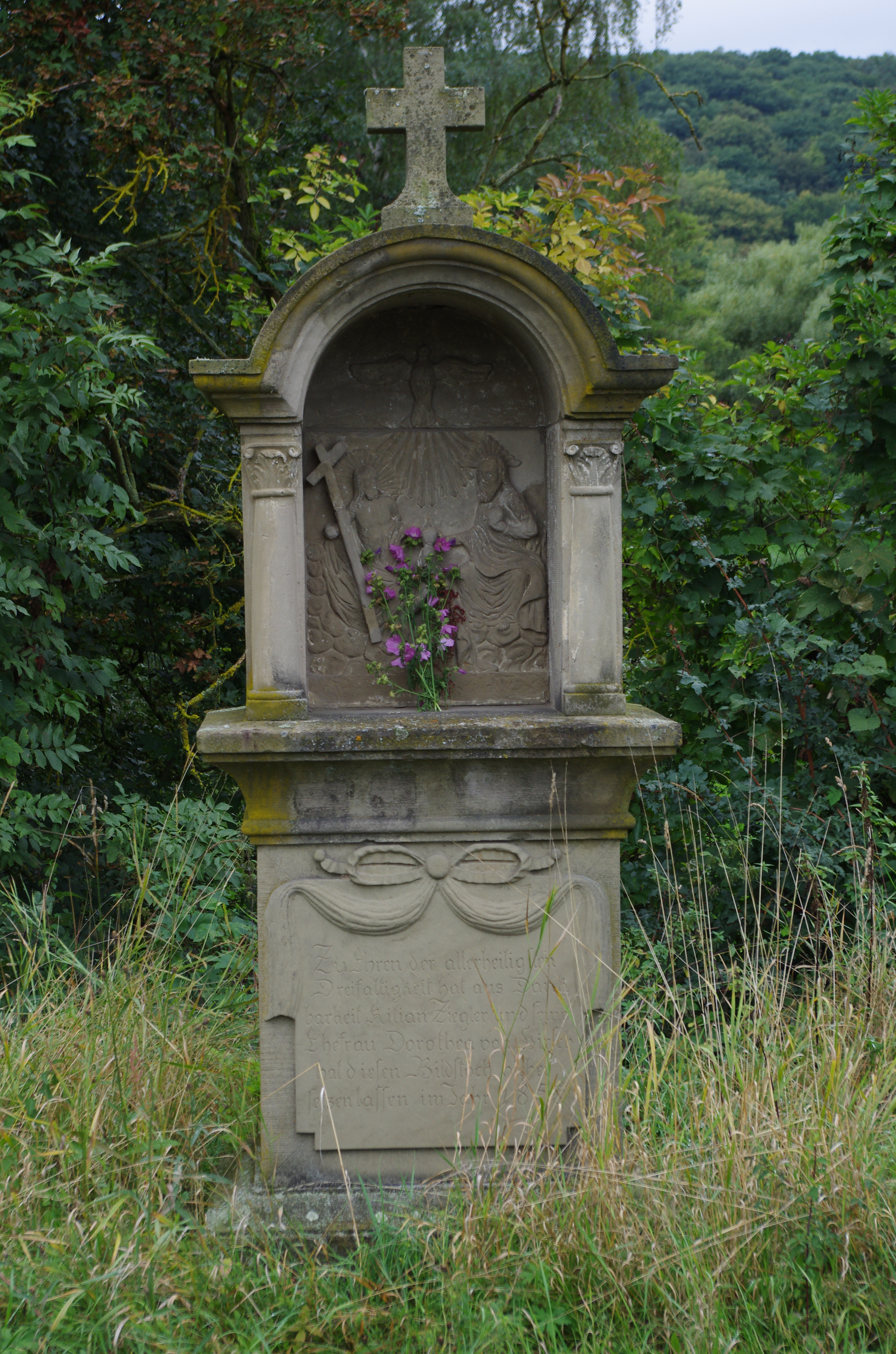 Bildstock SW 1 Hirschfeld 2013 1