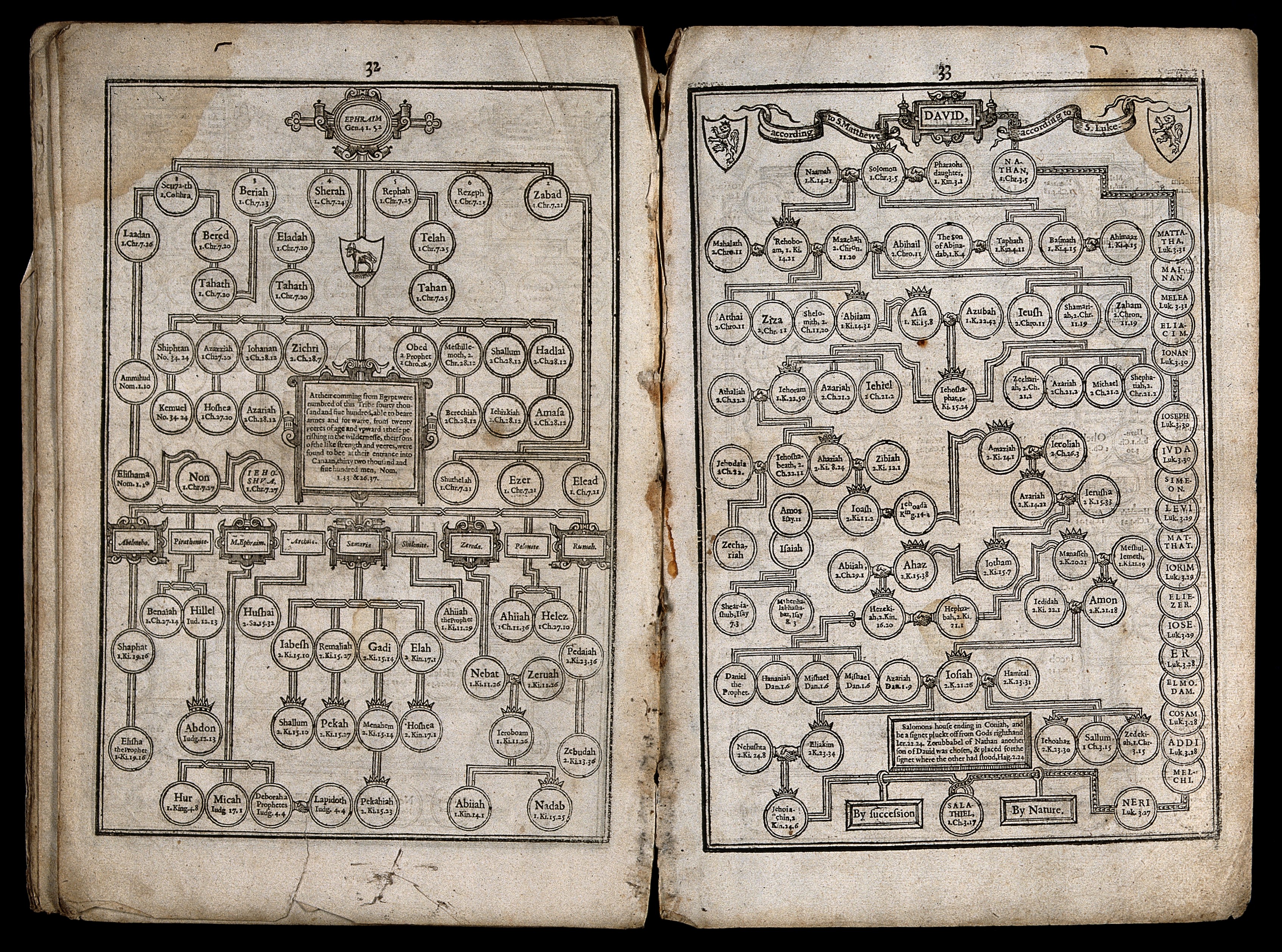 Genealogical tables of Ephraim and David. Etching, c. 1700. Wellcome V0034358