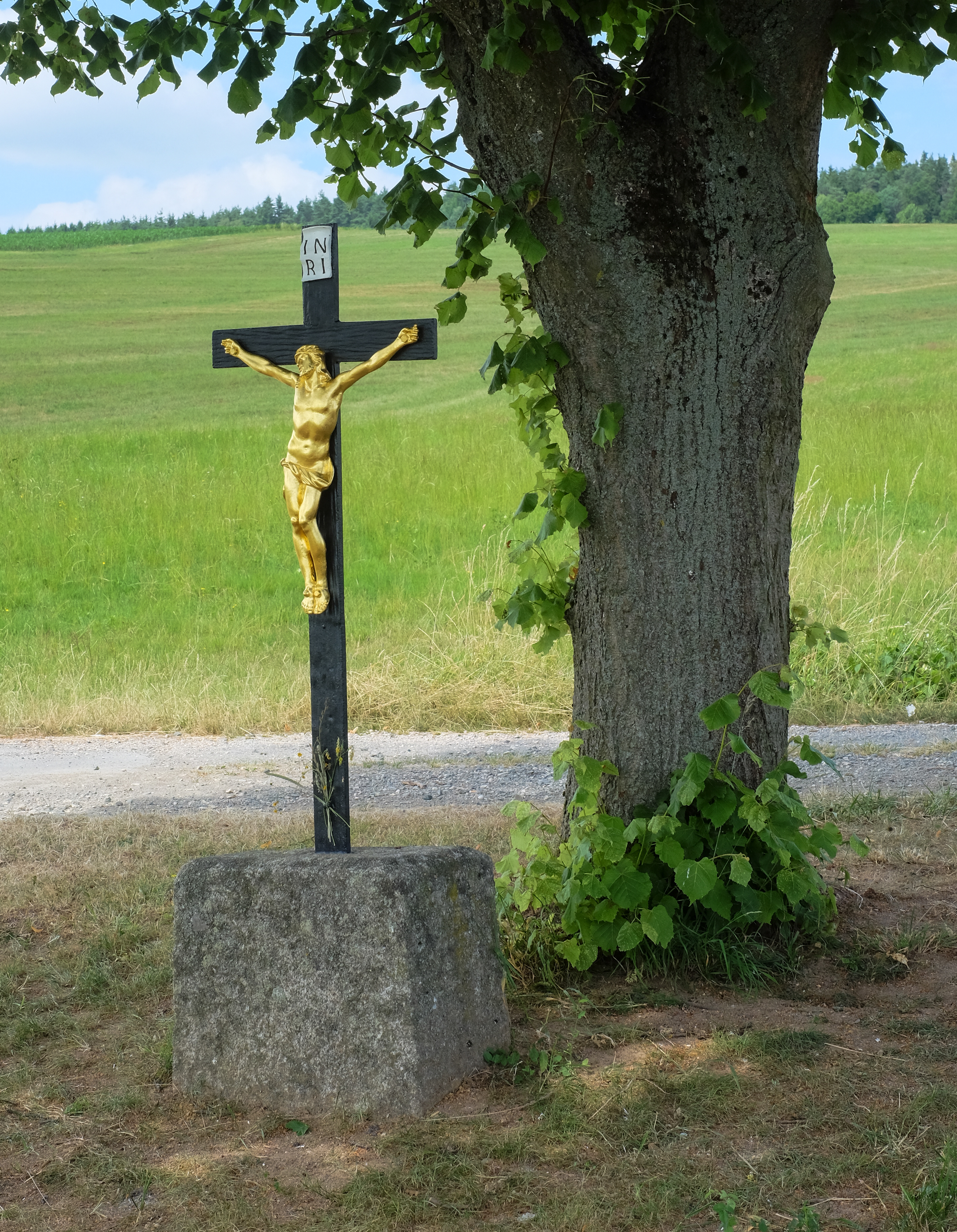 Krickelsdorf-9806