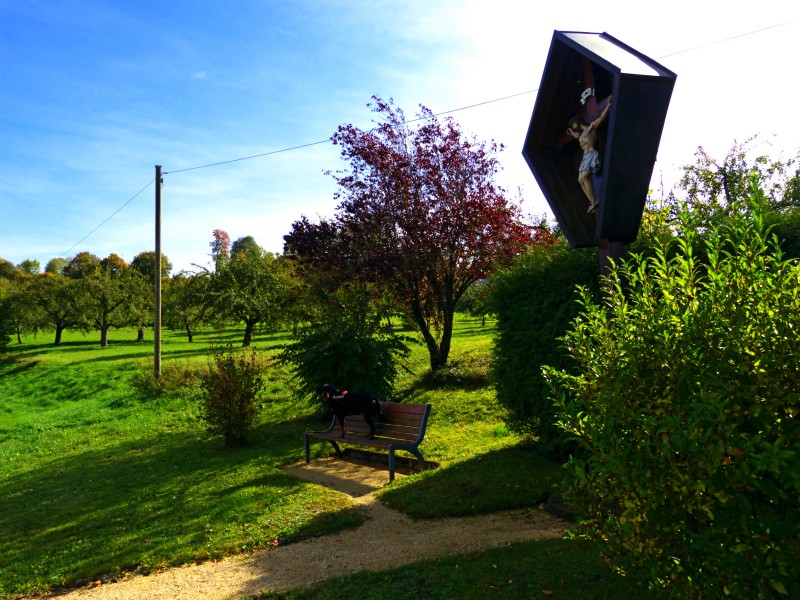 Alpha - panoramio (5)