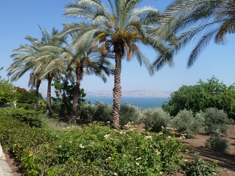 Beatitudes P1020636