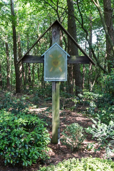Dülmen, Hausdülmen, Friedhof -- 2015 -- 7342