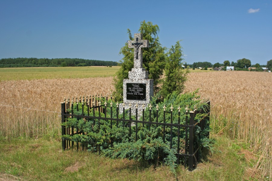 Stara Kamienna - Cross