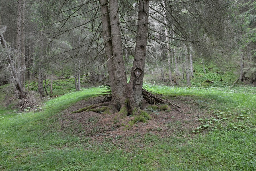Wayside cross Streda de Pozes Val de Pozes