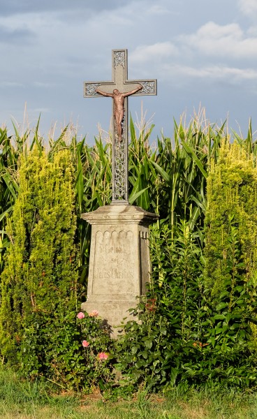 Wegkreuz Salem-Beuren-9625