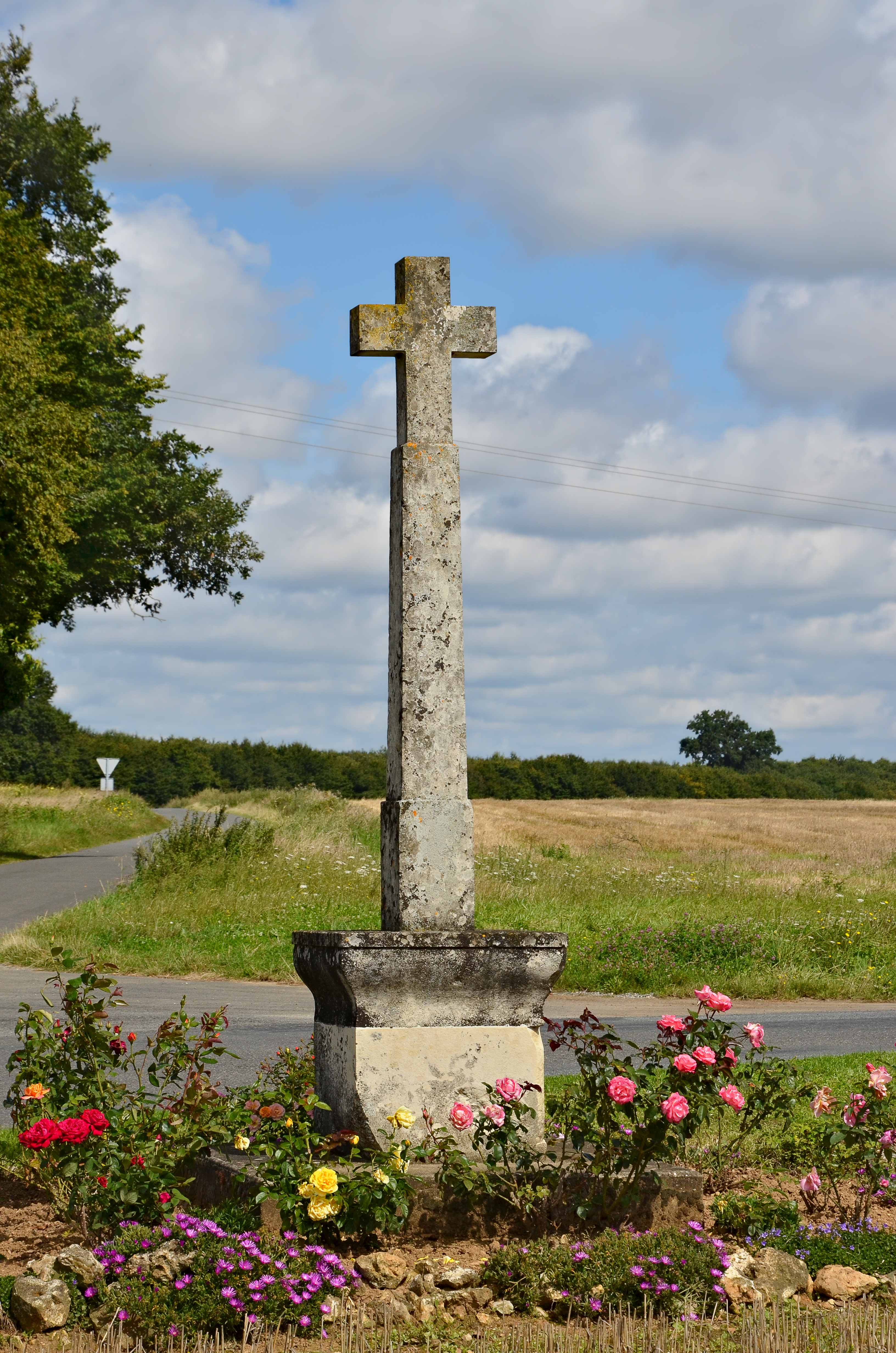 Savigné 86 Croix Boutelant D36 2014