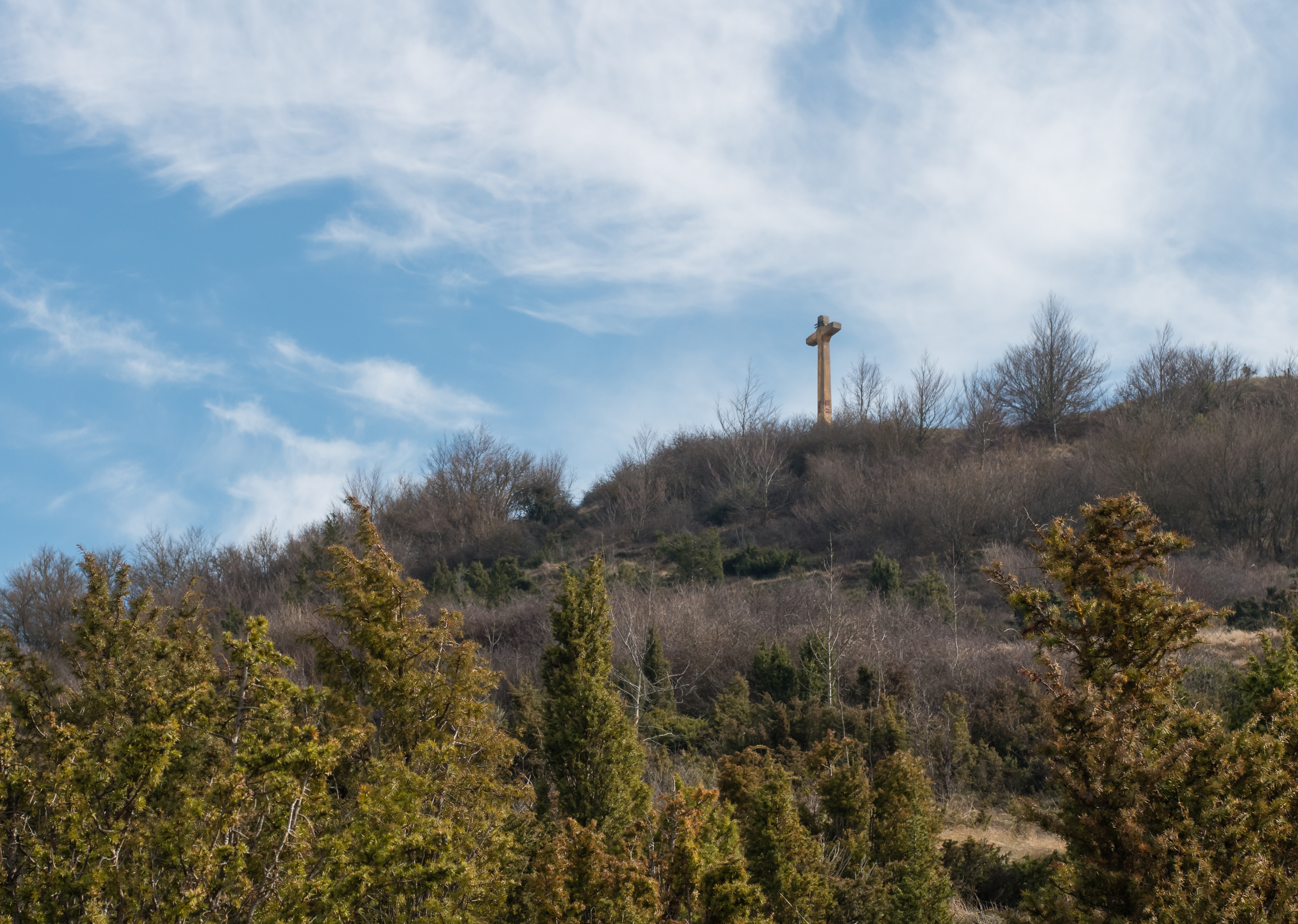 Vitoria - Olarizu - Cruz 01