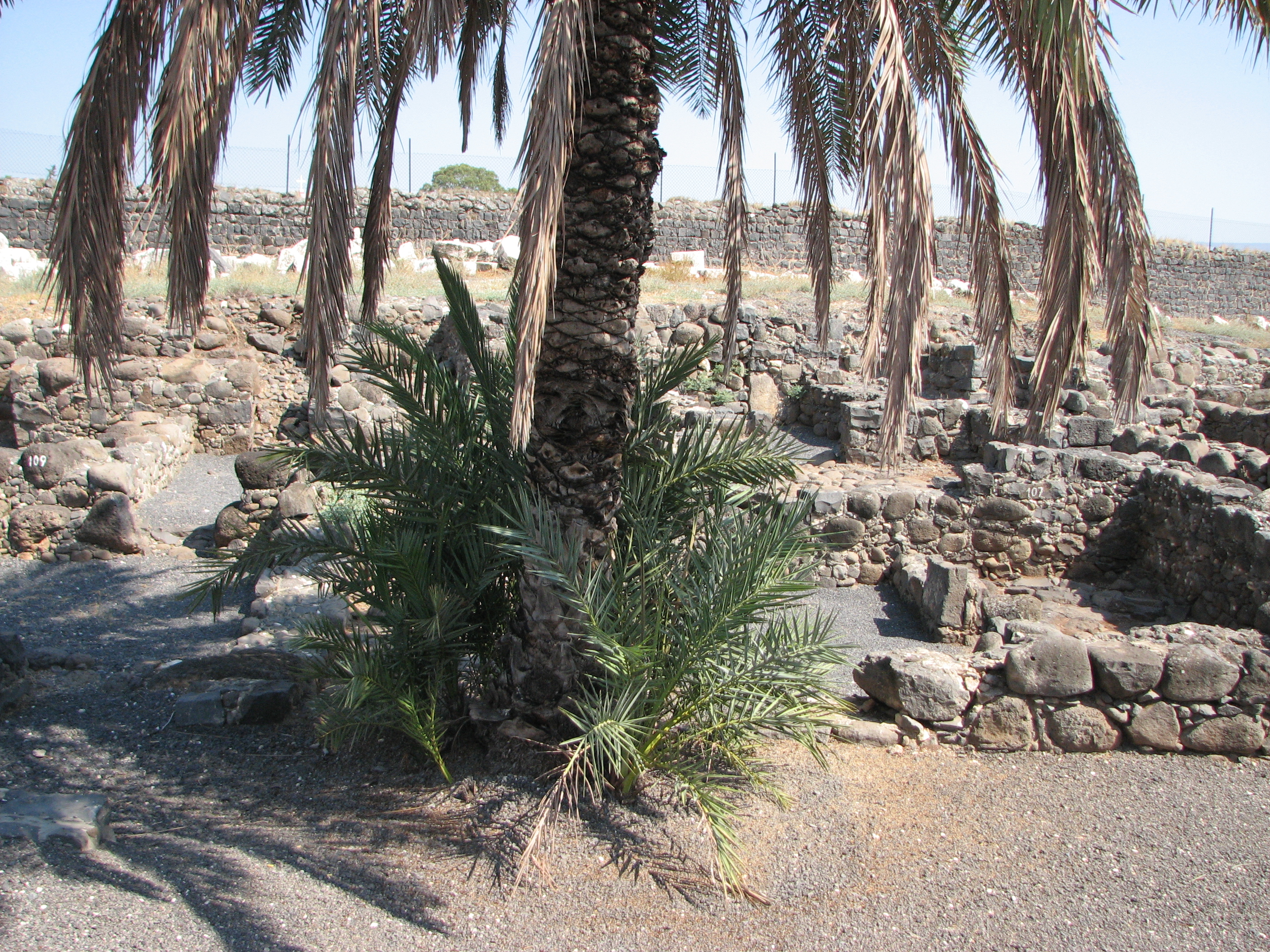 Capernaum, Israel