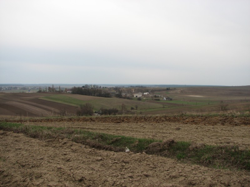 Fields and woods near Ostroh
