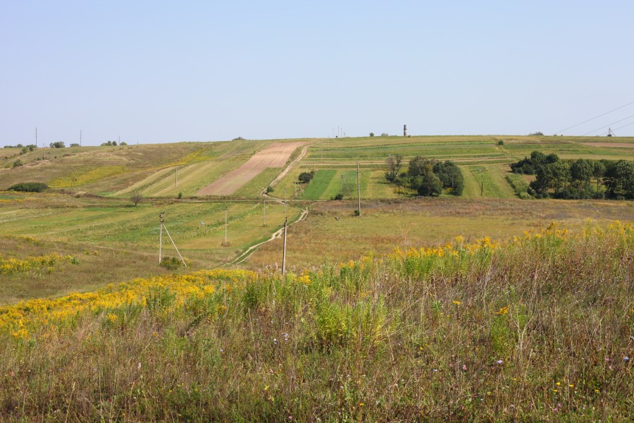 Fields and meadows around Ostroh town