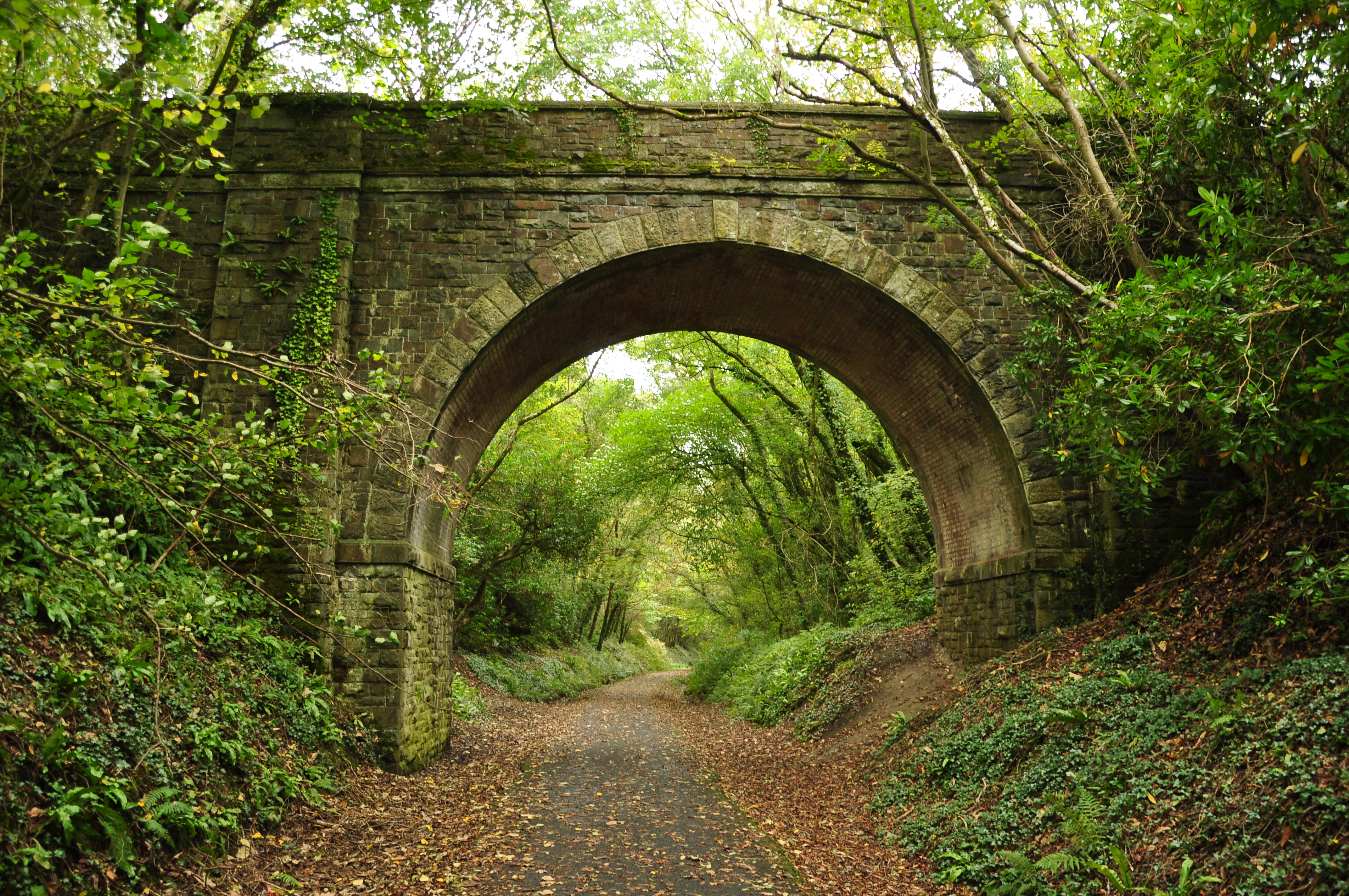 Bridge over Tarka Trail near Beam House (1348)