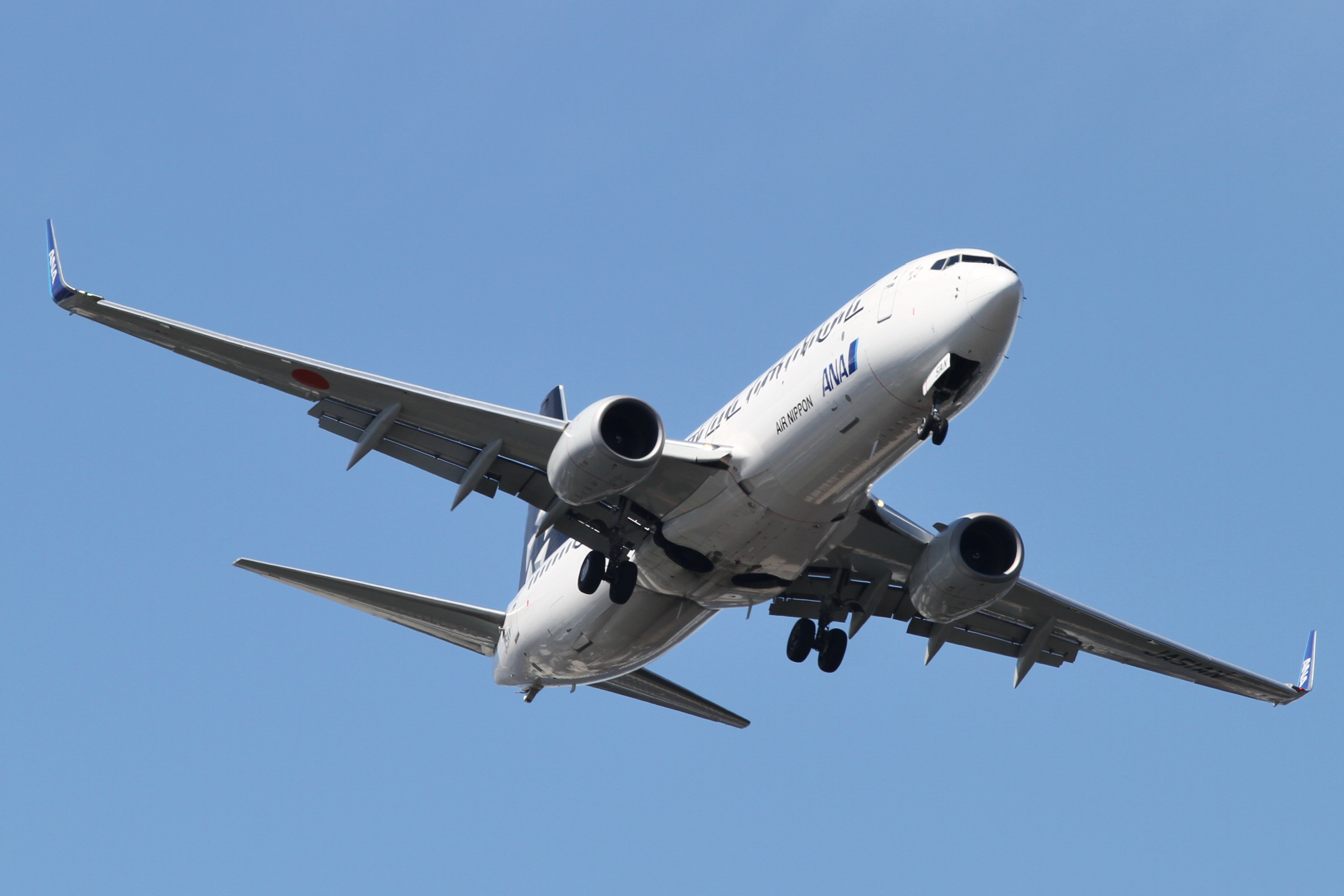 ANA B737-800(JA51AN) (4948195503)