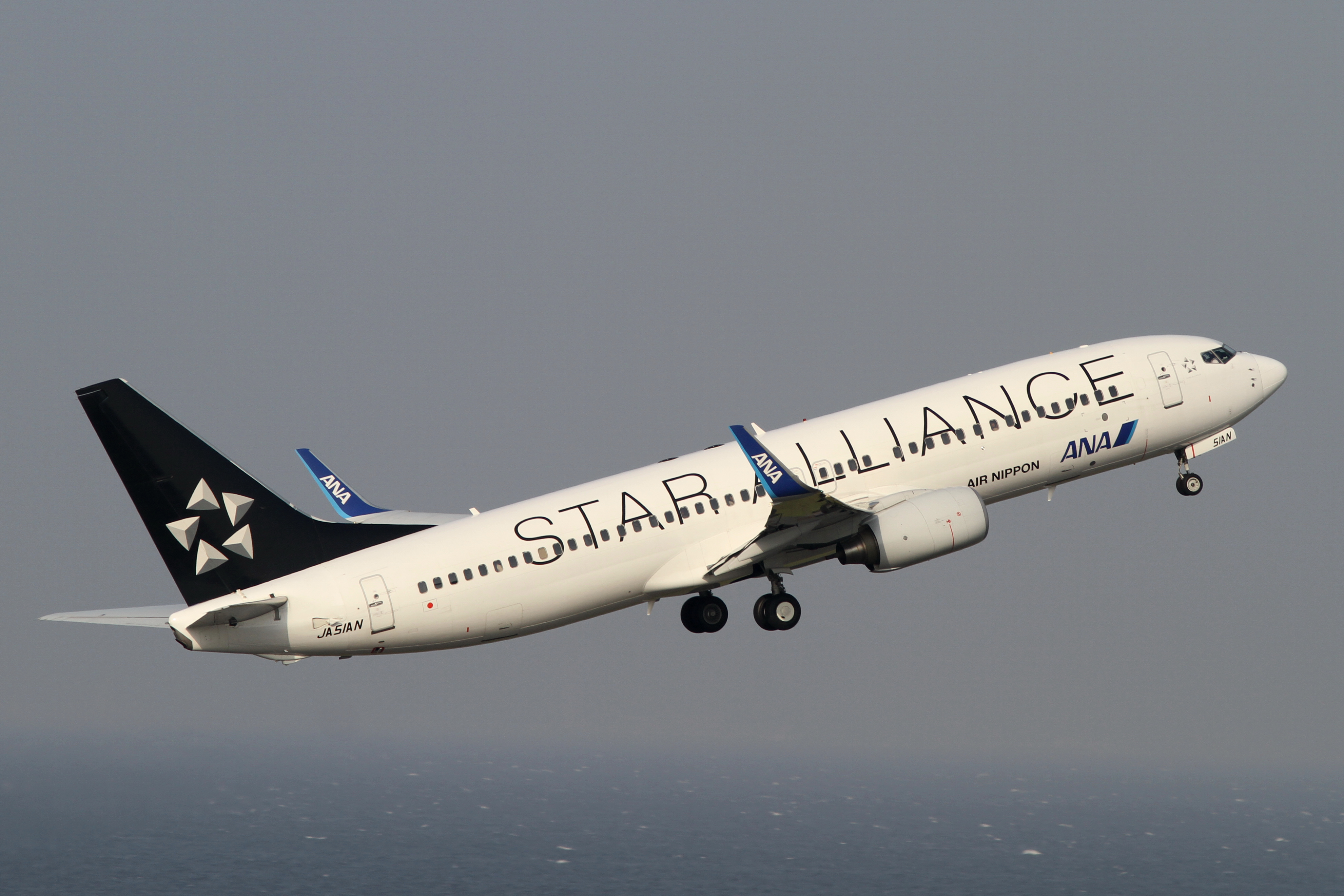 ANA B737-800(JA51AN) (5746057044)
