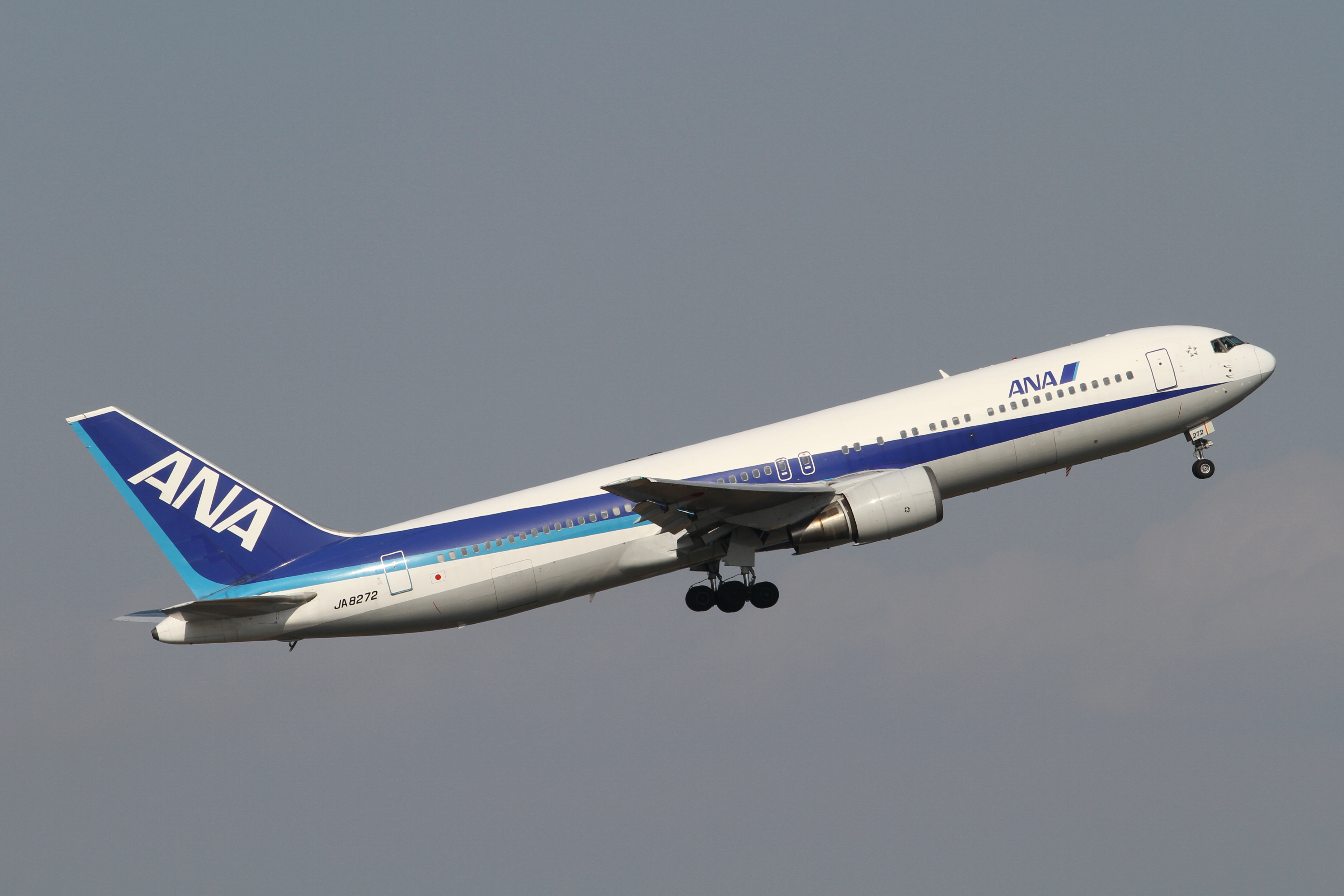ANA B767-300(JA8272) (6901940190)