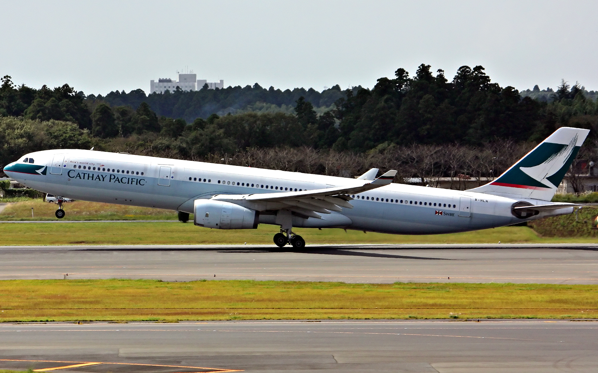 B-HLH (4917939344)