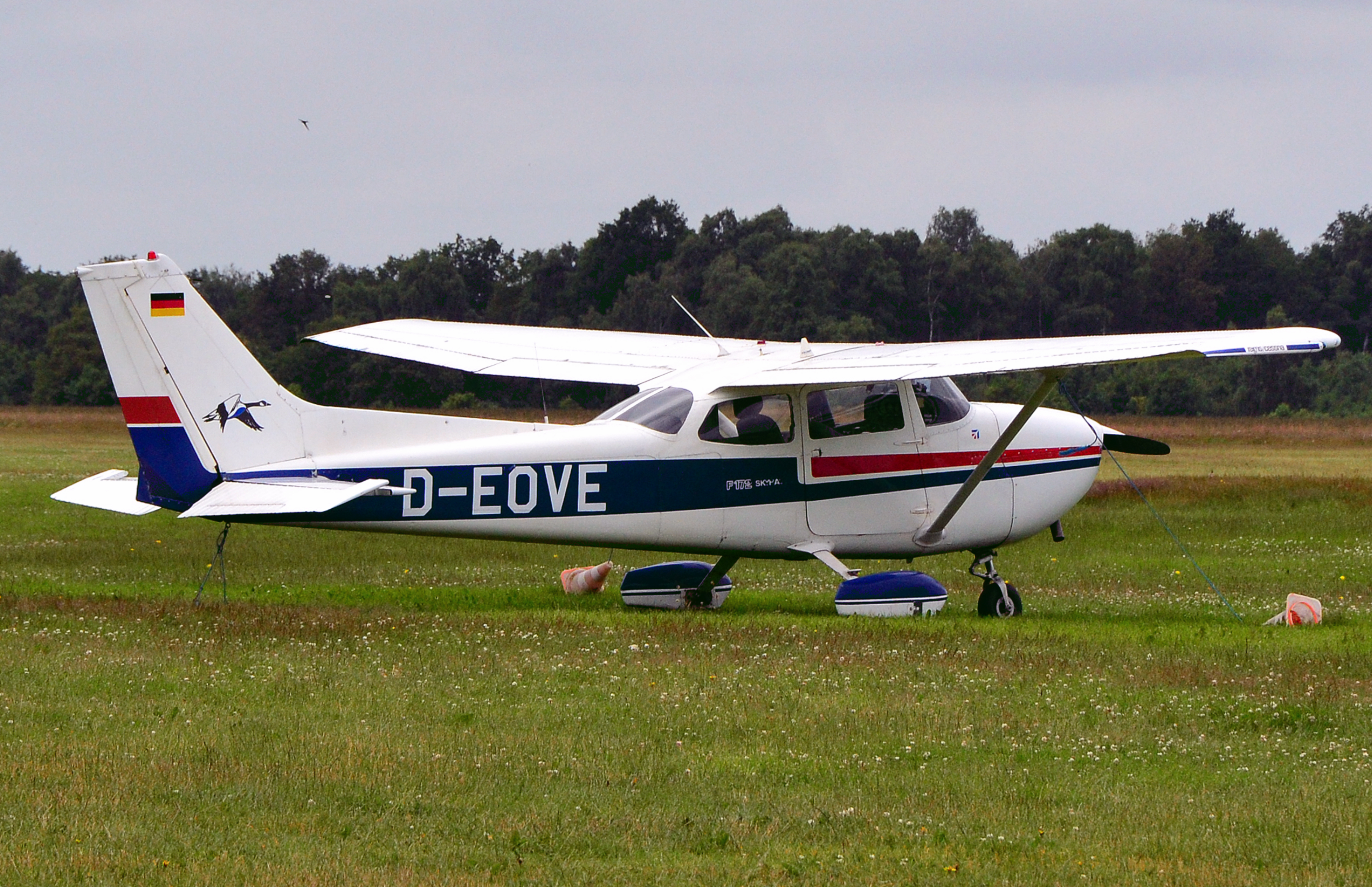 Cessna F172 Skyhawk (D-EOVE) 03