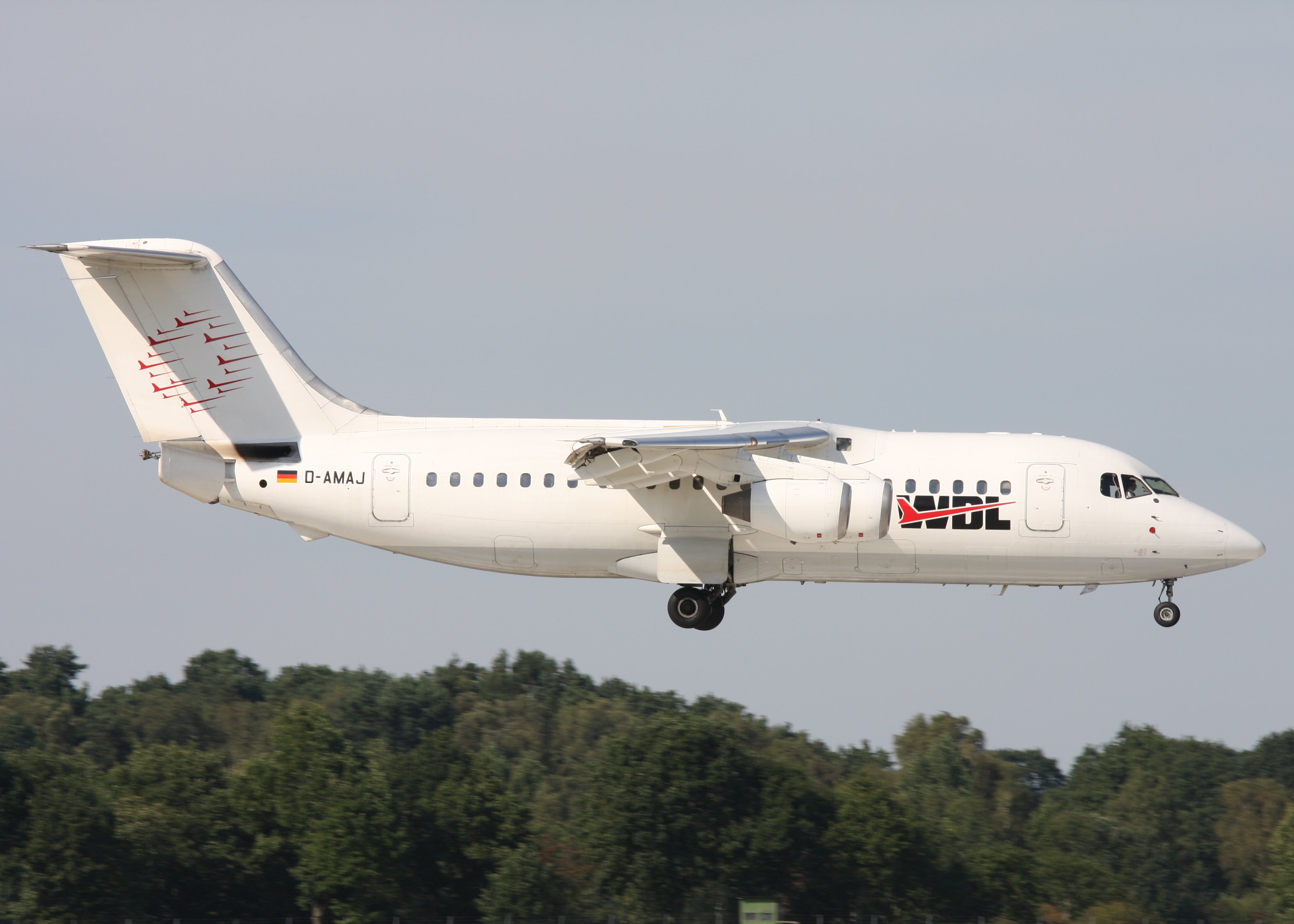 D-AMAJ (2815019510)