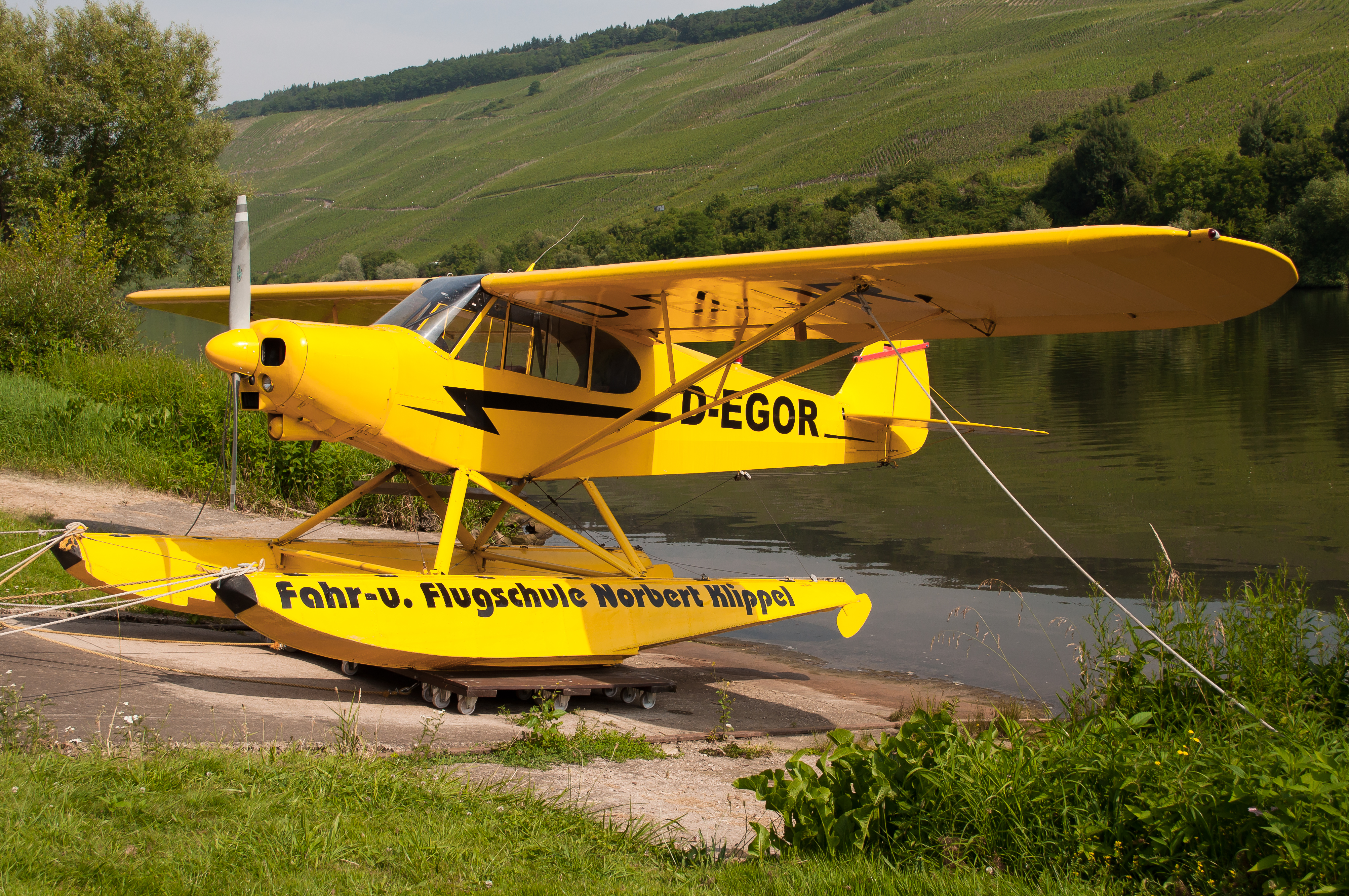 D-EGOR (9313243224)