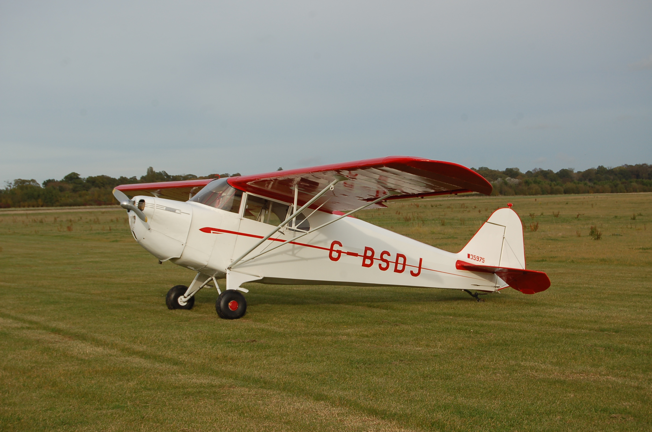 G-BSDJ (8155258573)