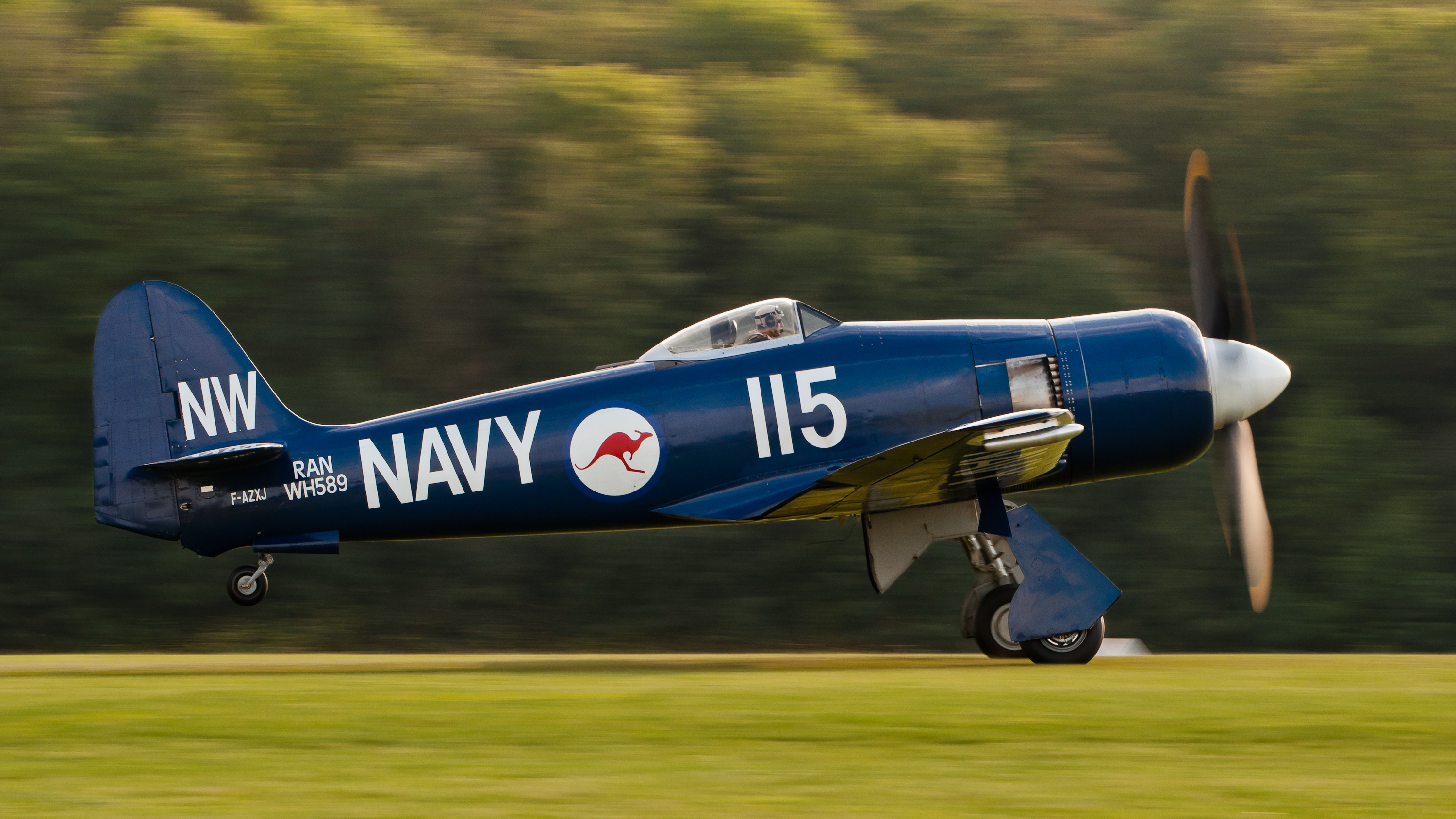 Hawker Sea Fury FB 10 F-AZXJ OTT 2013 10