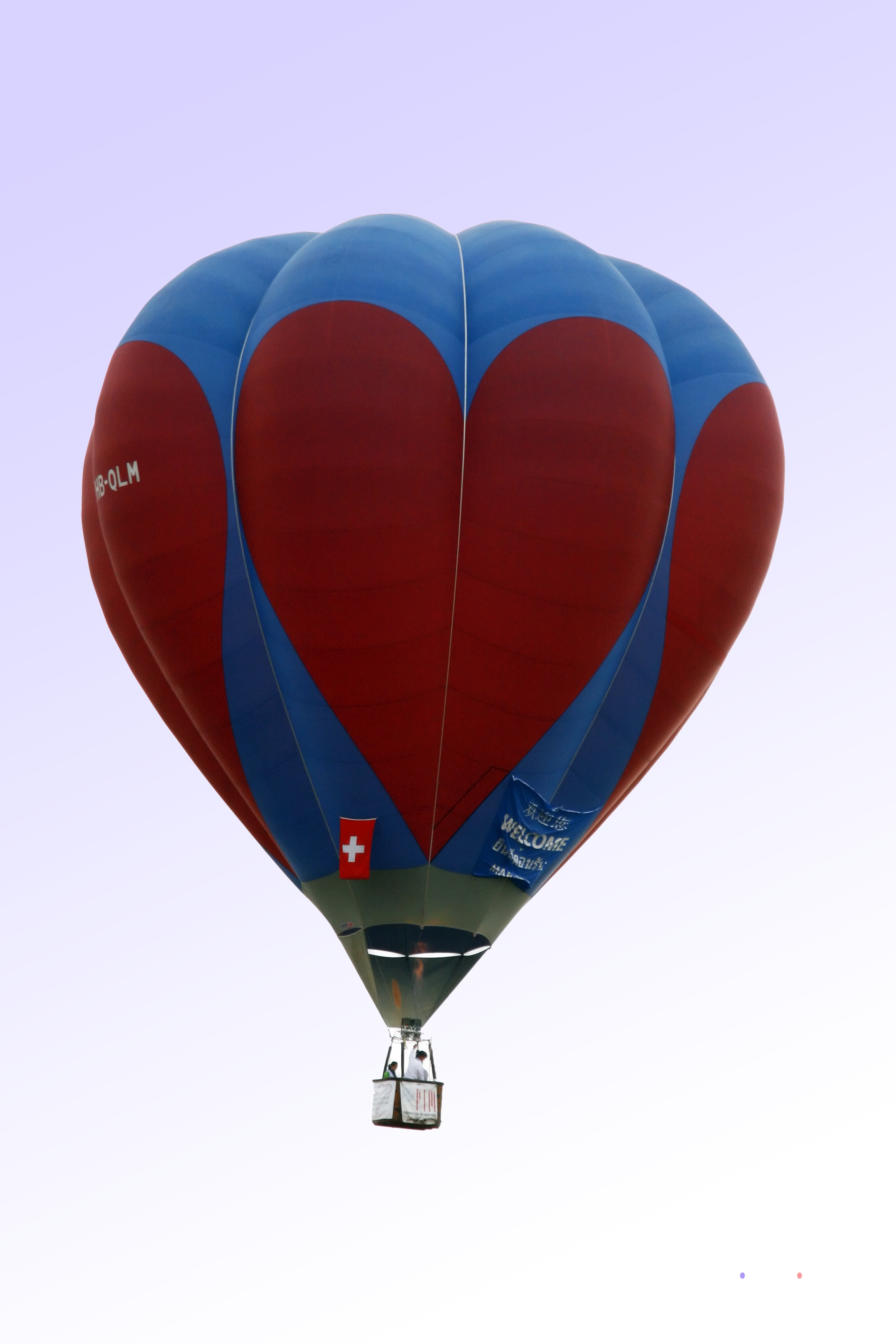 Hot air balloon with hearts