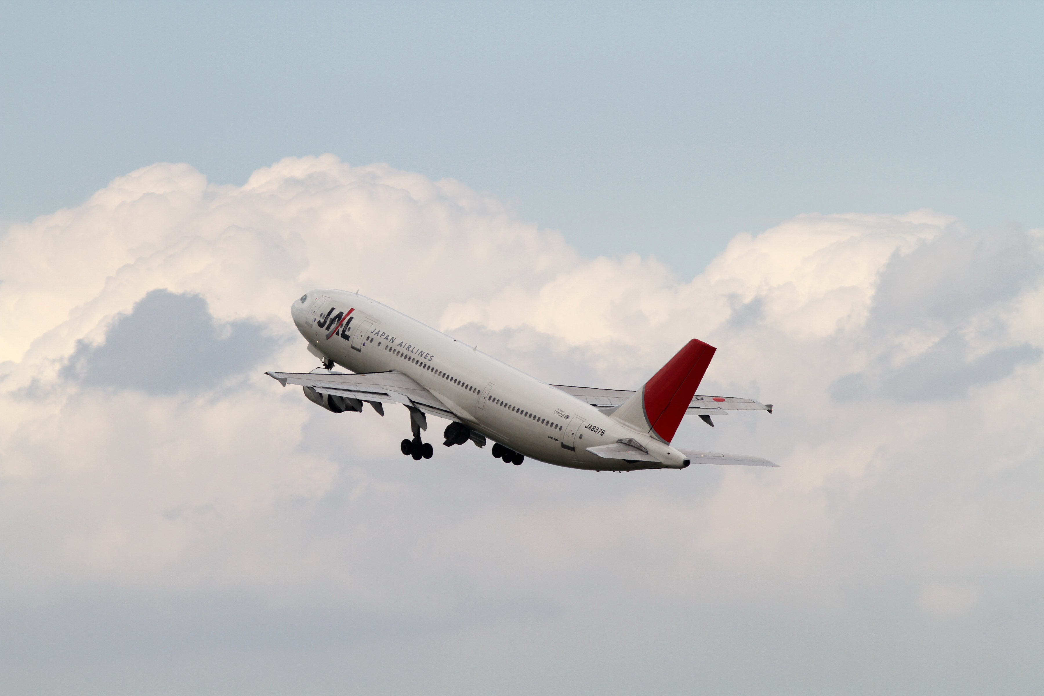 JAL A300-600R(JA8376) (5025738300)