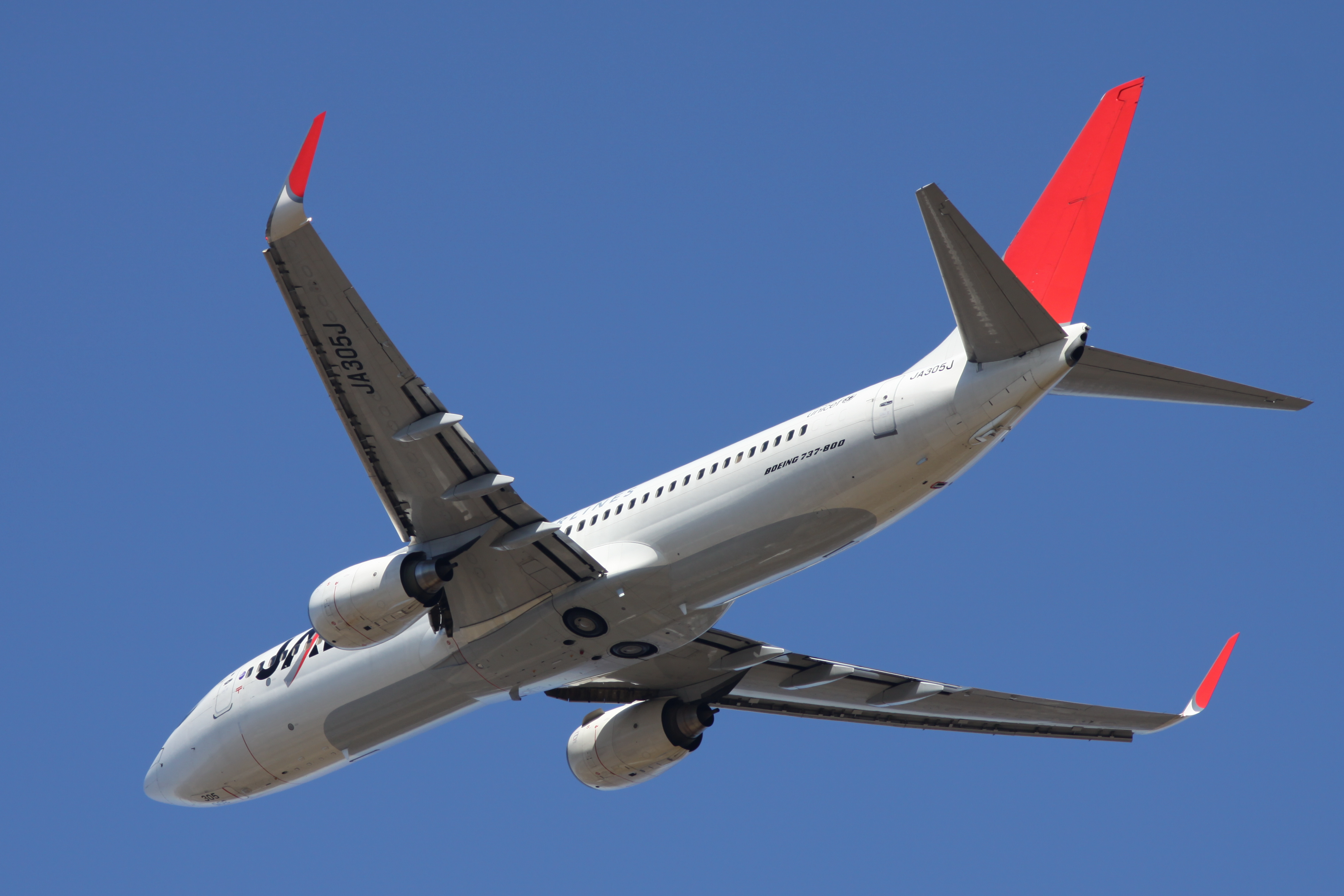 JAL B737-800(JA305J) (5457722515)