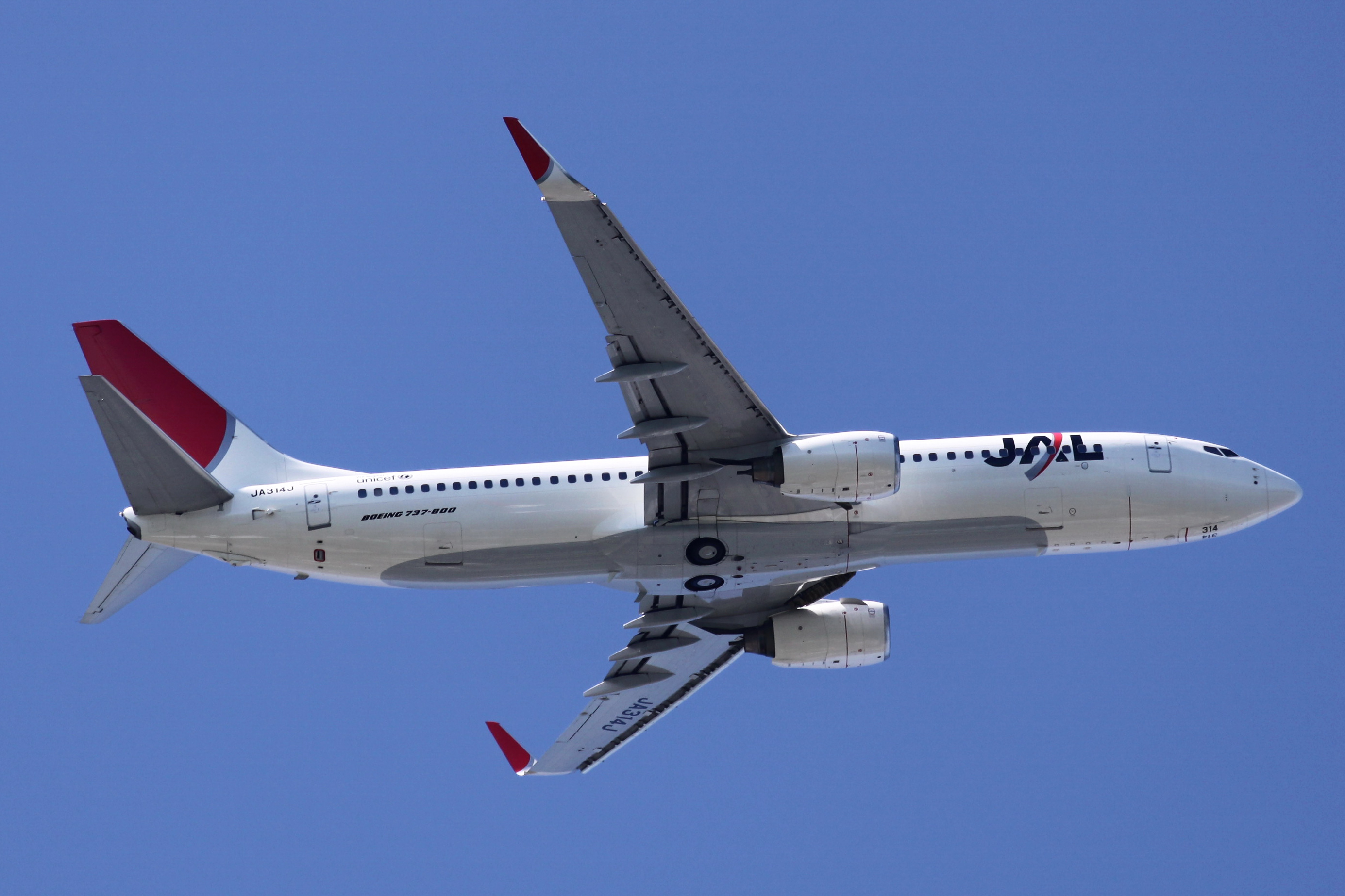 JAL B737-800(JA314J) (4001402102)