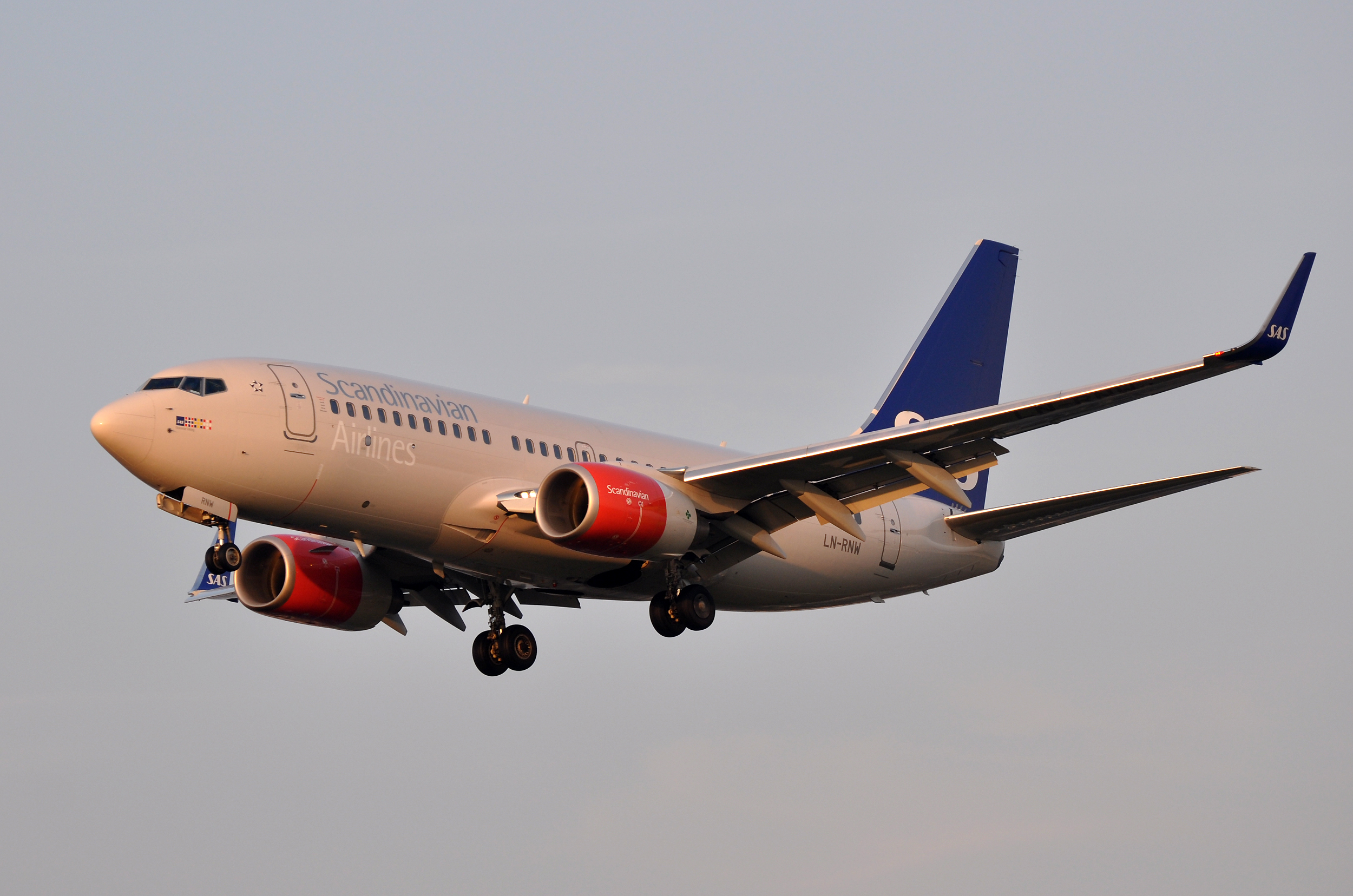 LN-RNW (6949957546)