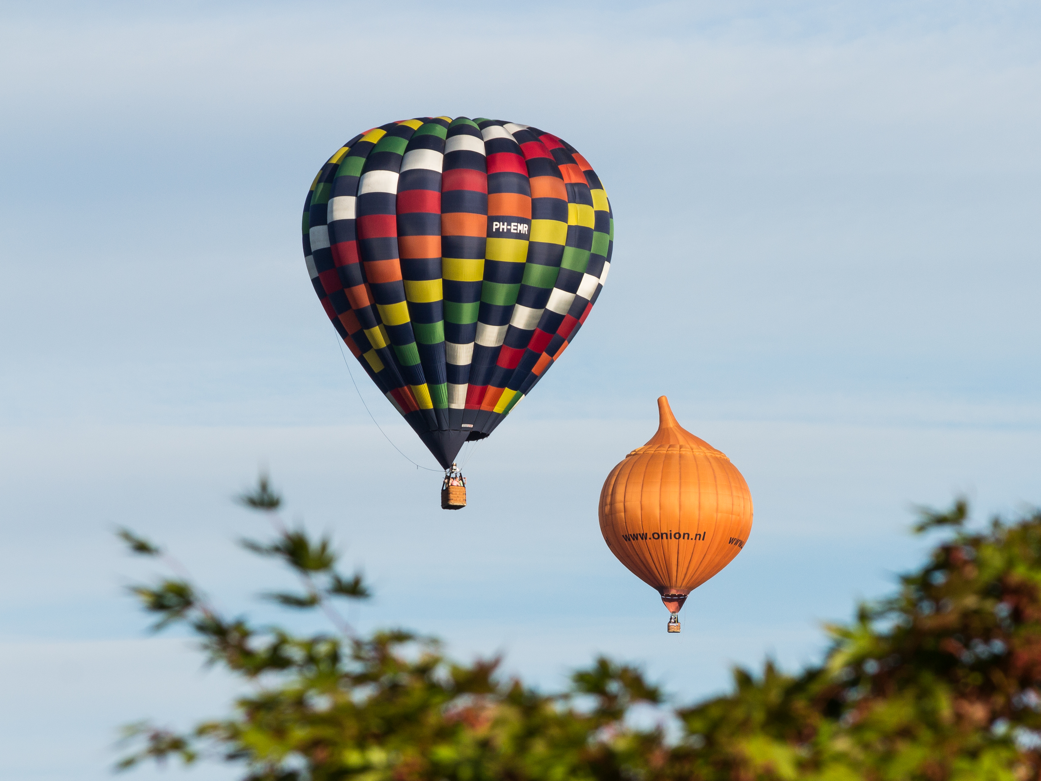 Meerdere ballonnen gelijktijdig in de lucht tijdens de Jaarlijkse Friese ballonfeesten in Joure 05