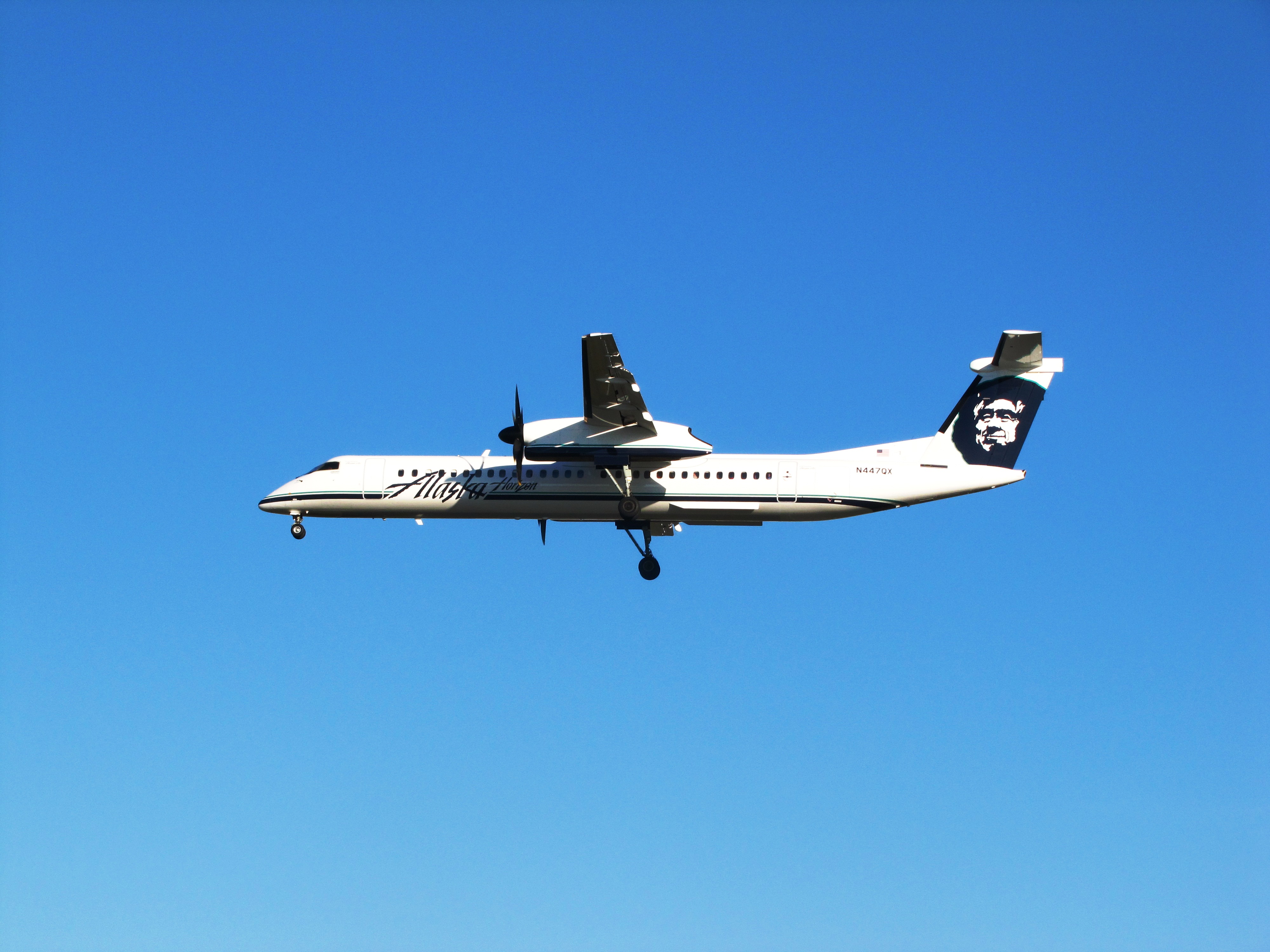 N447QX (6262033121)