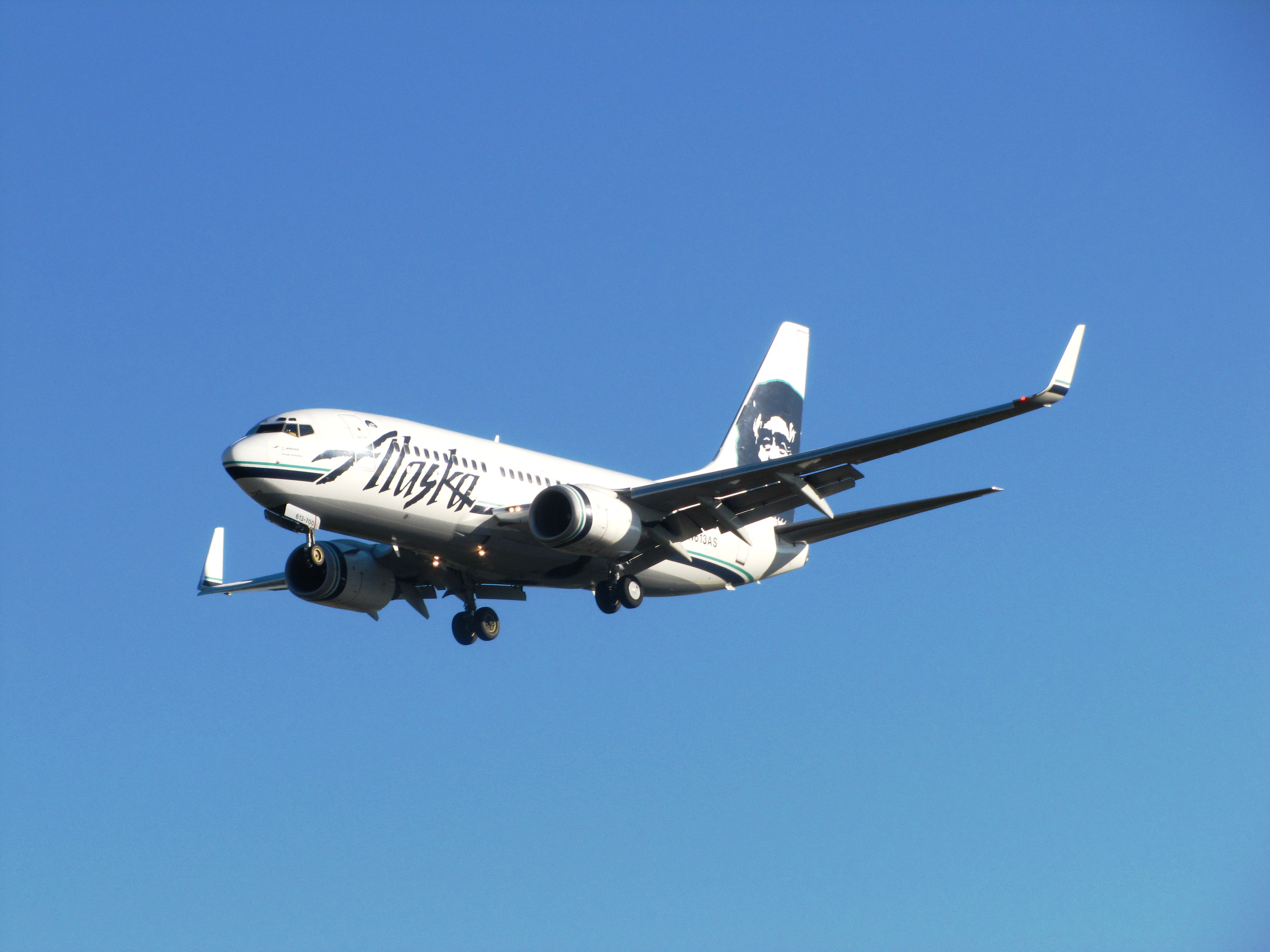 N613AS (6262561488)