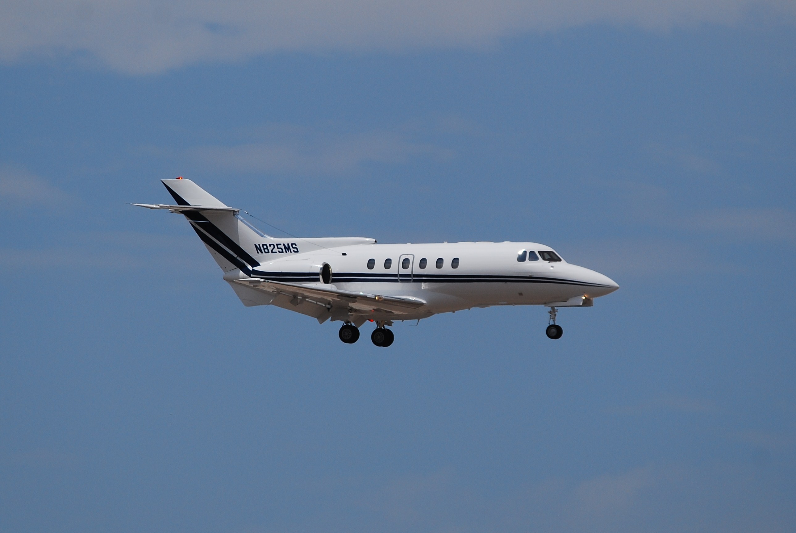N825MS (2705212894)