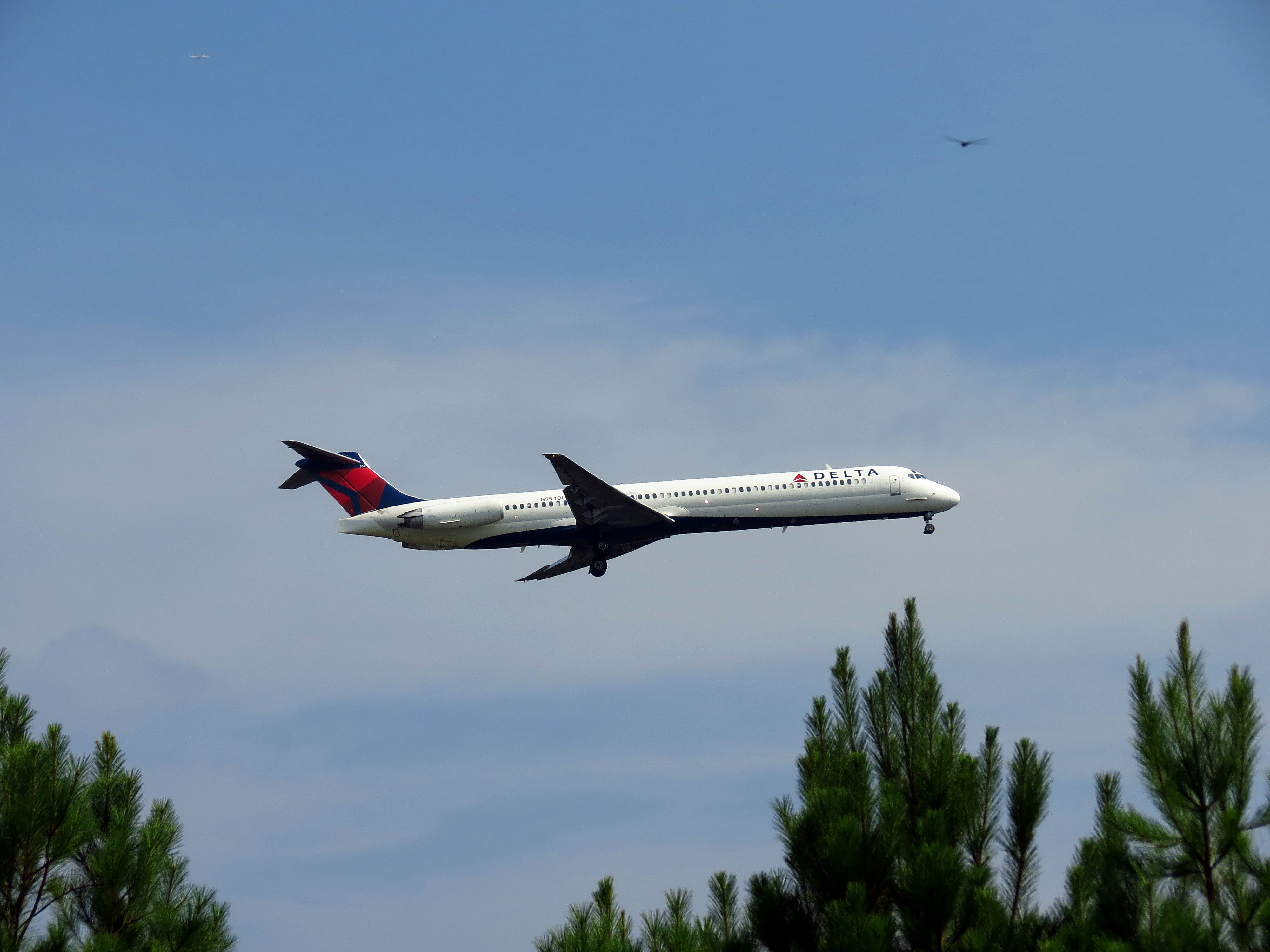 N954DL (7841568364)