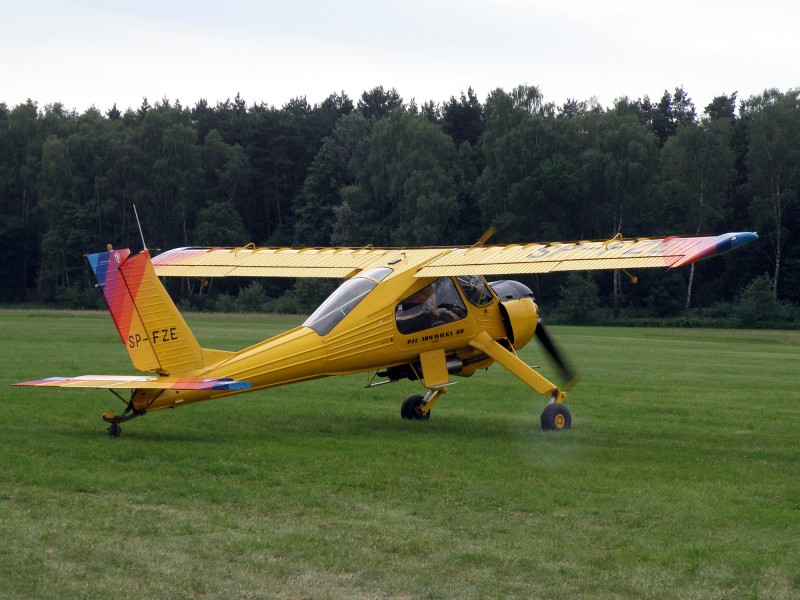 Goraszka Air Picnic 2010 (21)