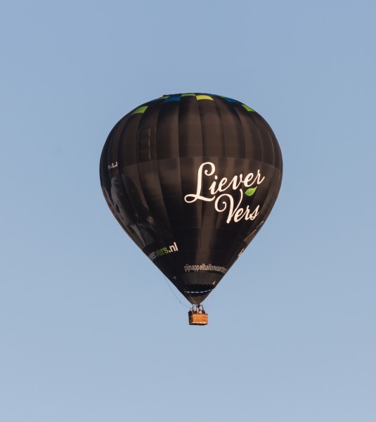 PH-JLJ ballon op de Jaarlijkse Friese ballonfeesten in Joure