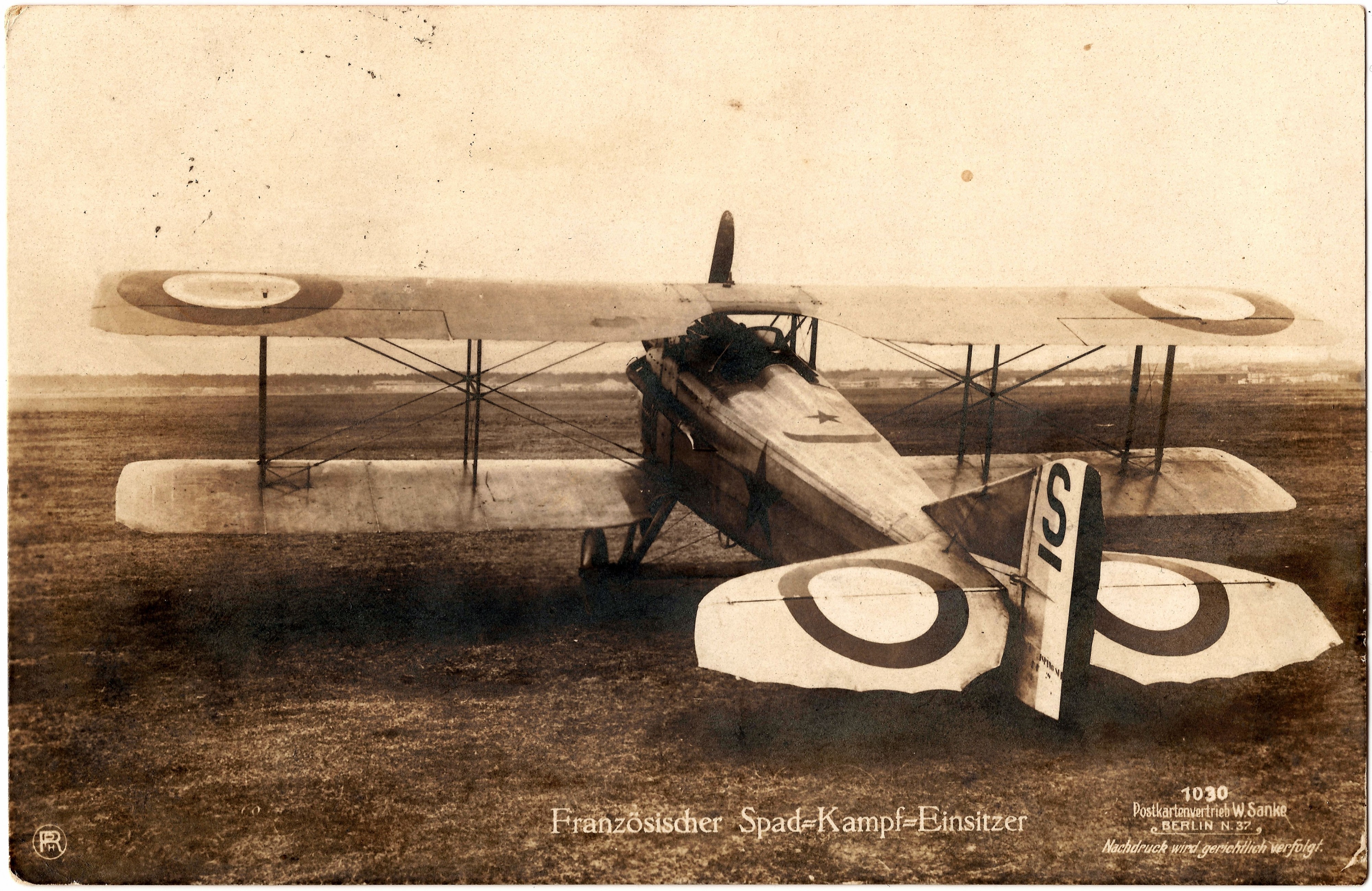 French Spad - photo