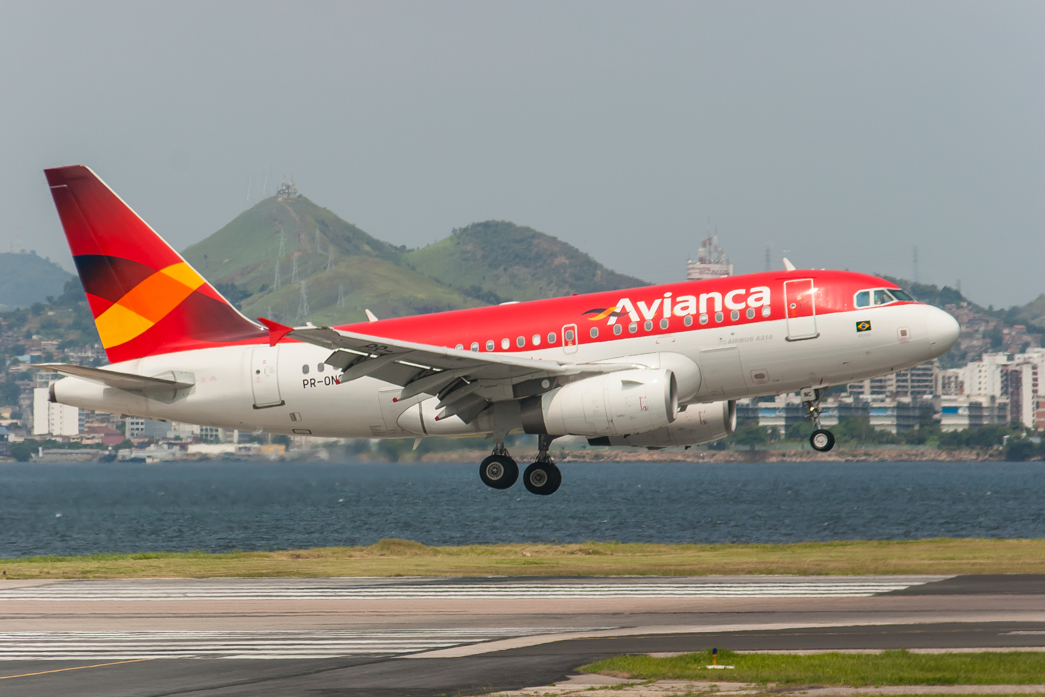 Airbus A318 landing at SDU (8347508827)