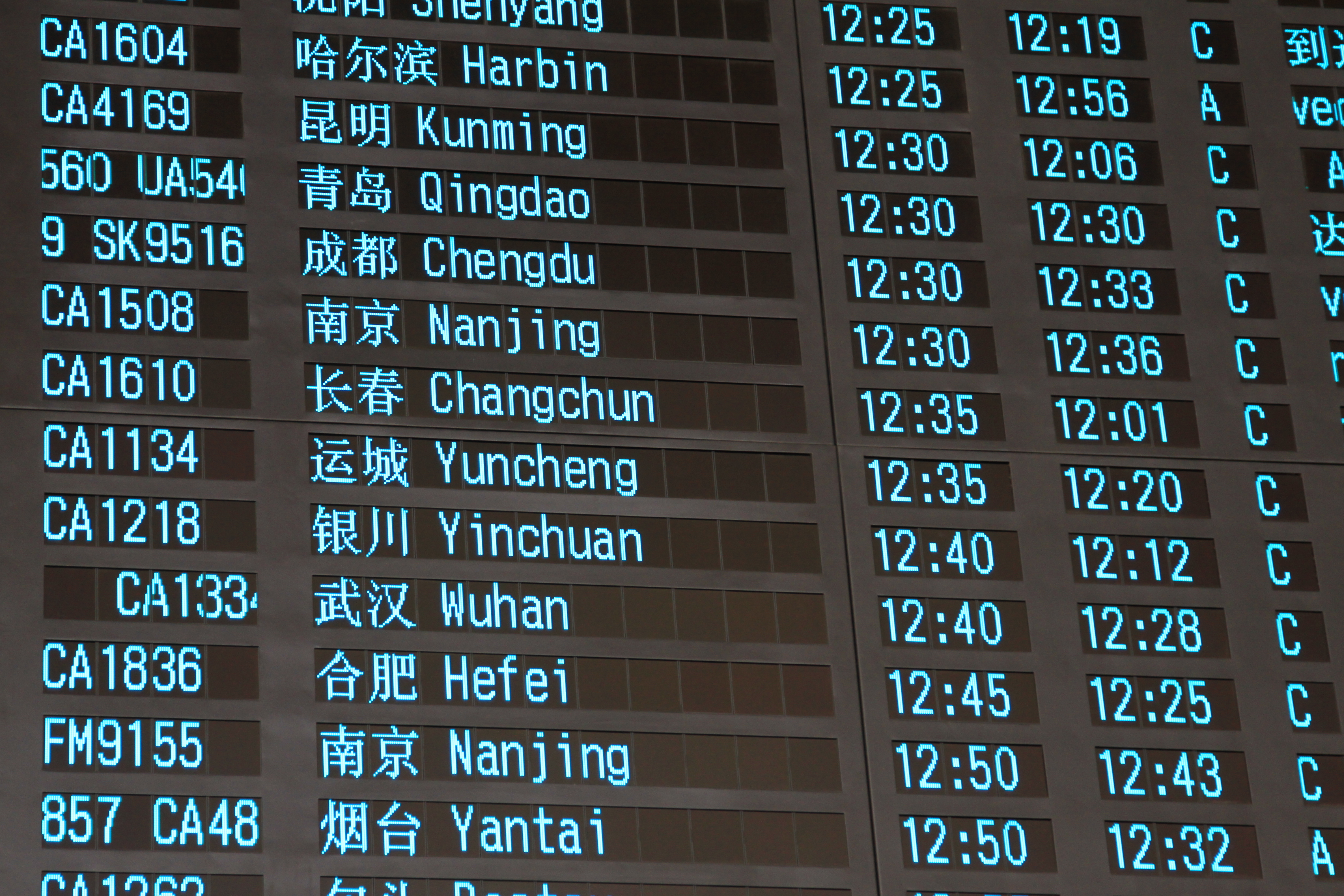 Beijing Capital Airport, Arrival Information (4215082515)