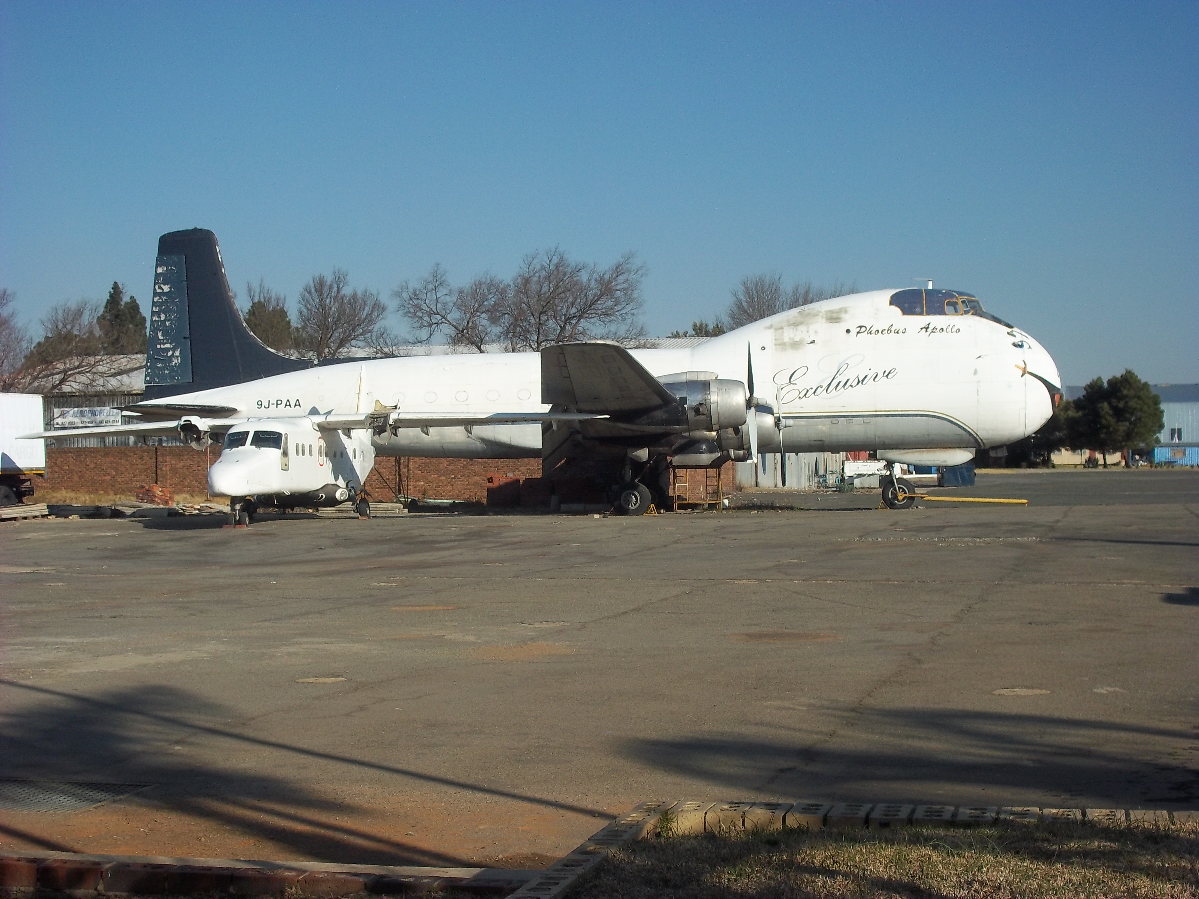 Carvair at Rand Airport