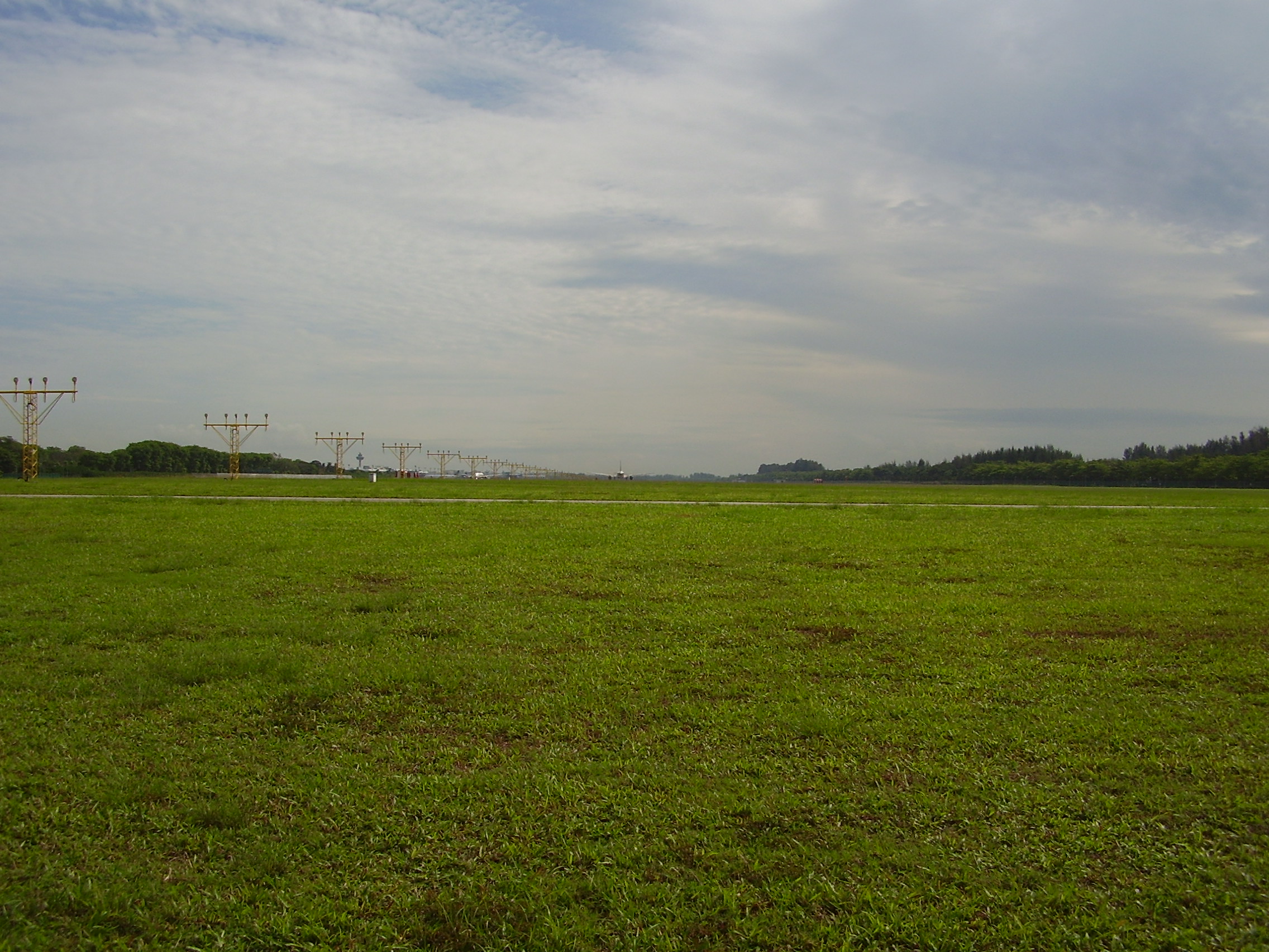 Changi Airport landscape 20060416