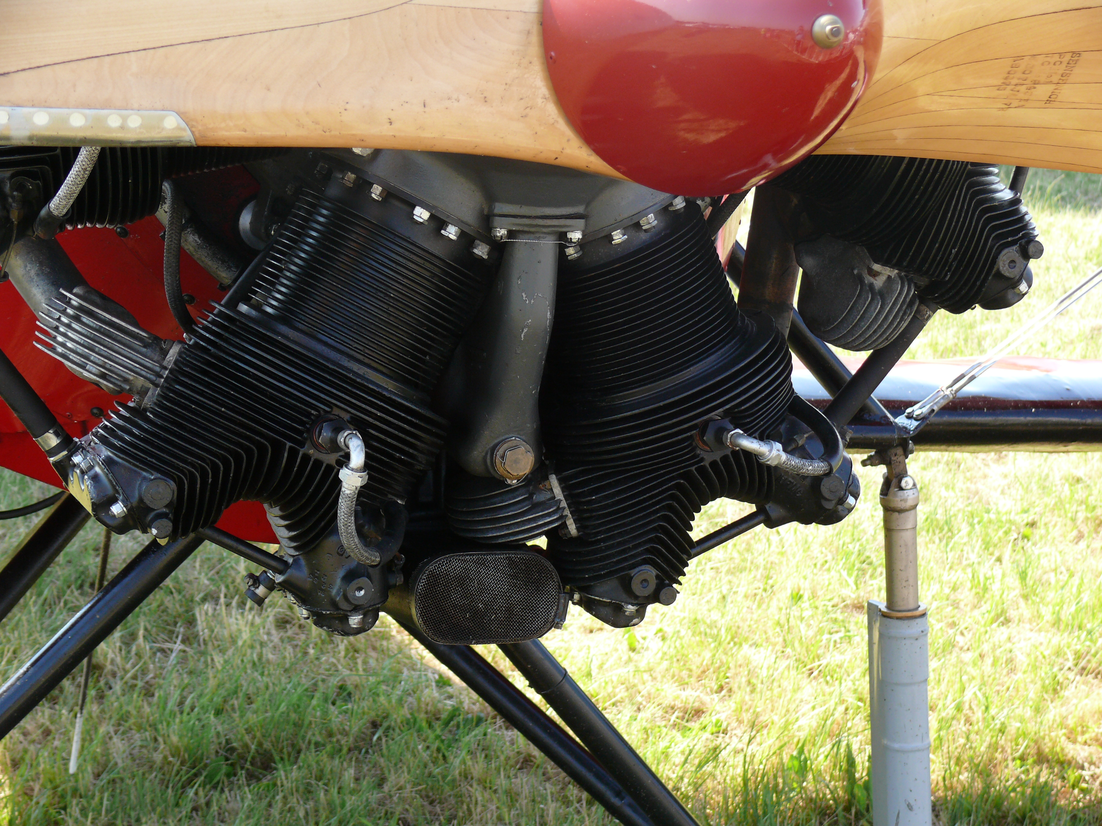 Great Lakes 2T-1A-2 Sport Trainer 4