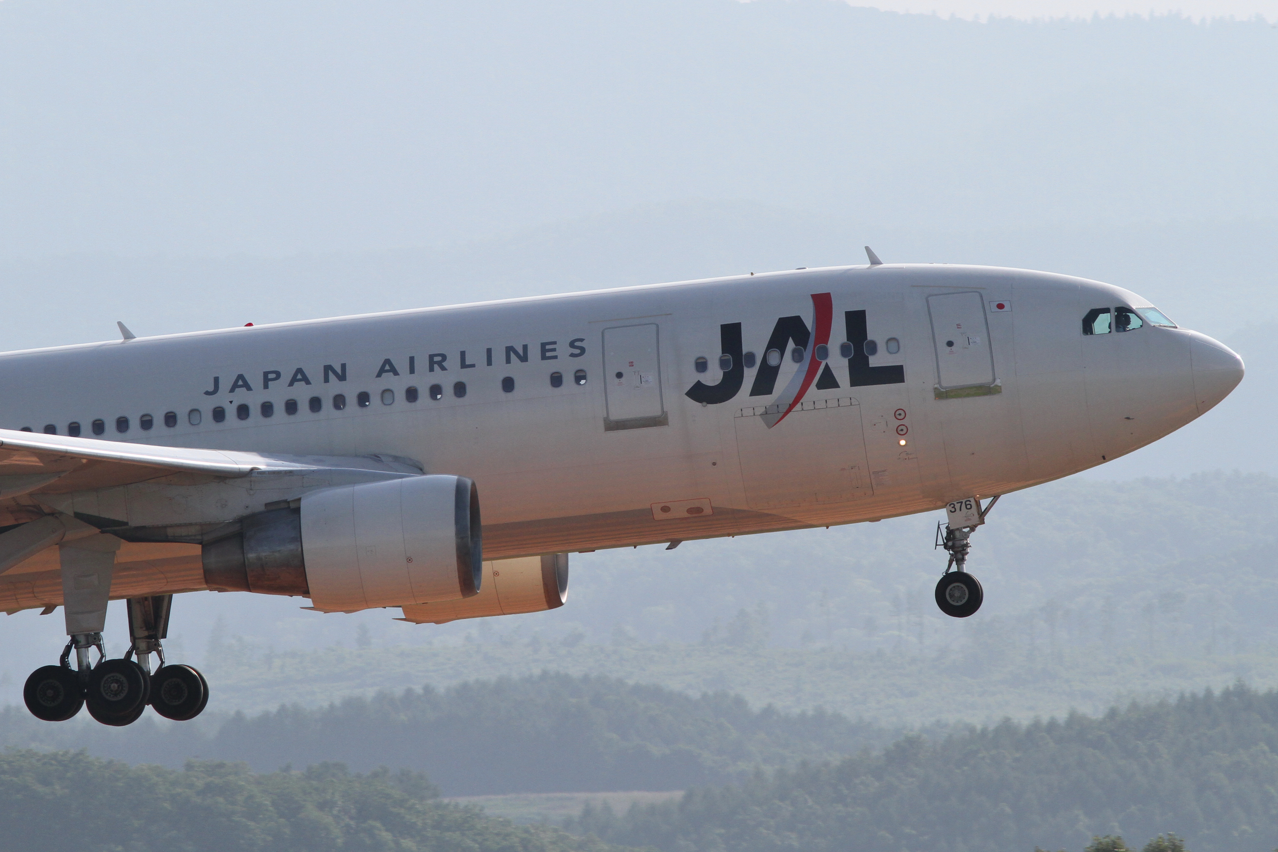 JAL A300-600R(JA8376) (4912028519)