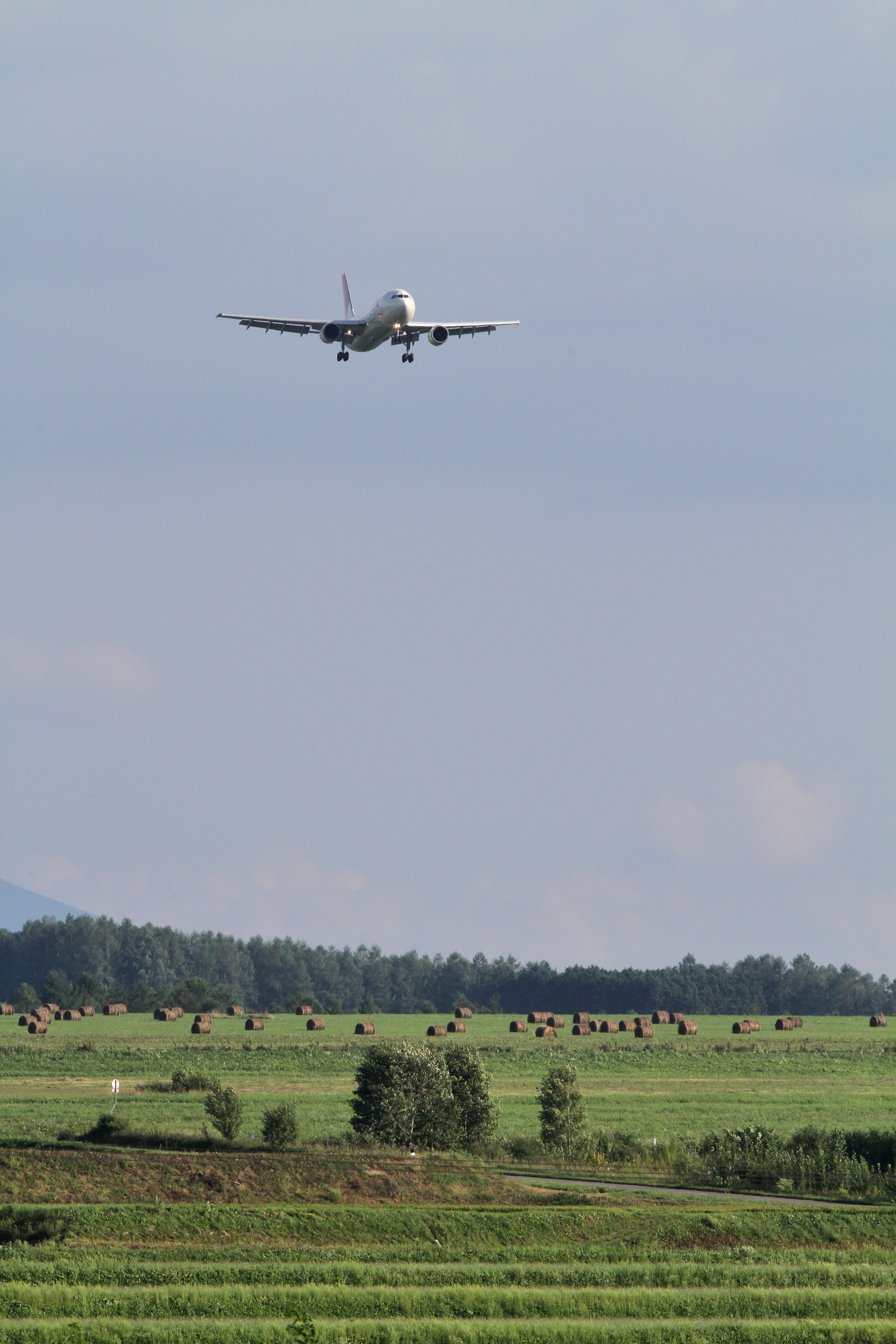 JAL A300-600R(JA8376) (4912567790)